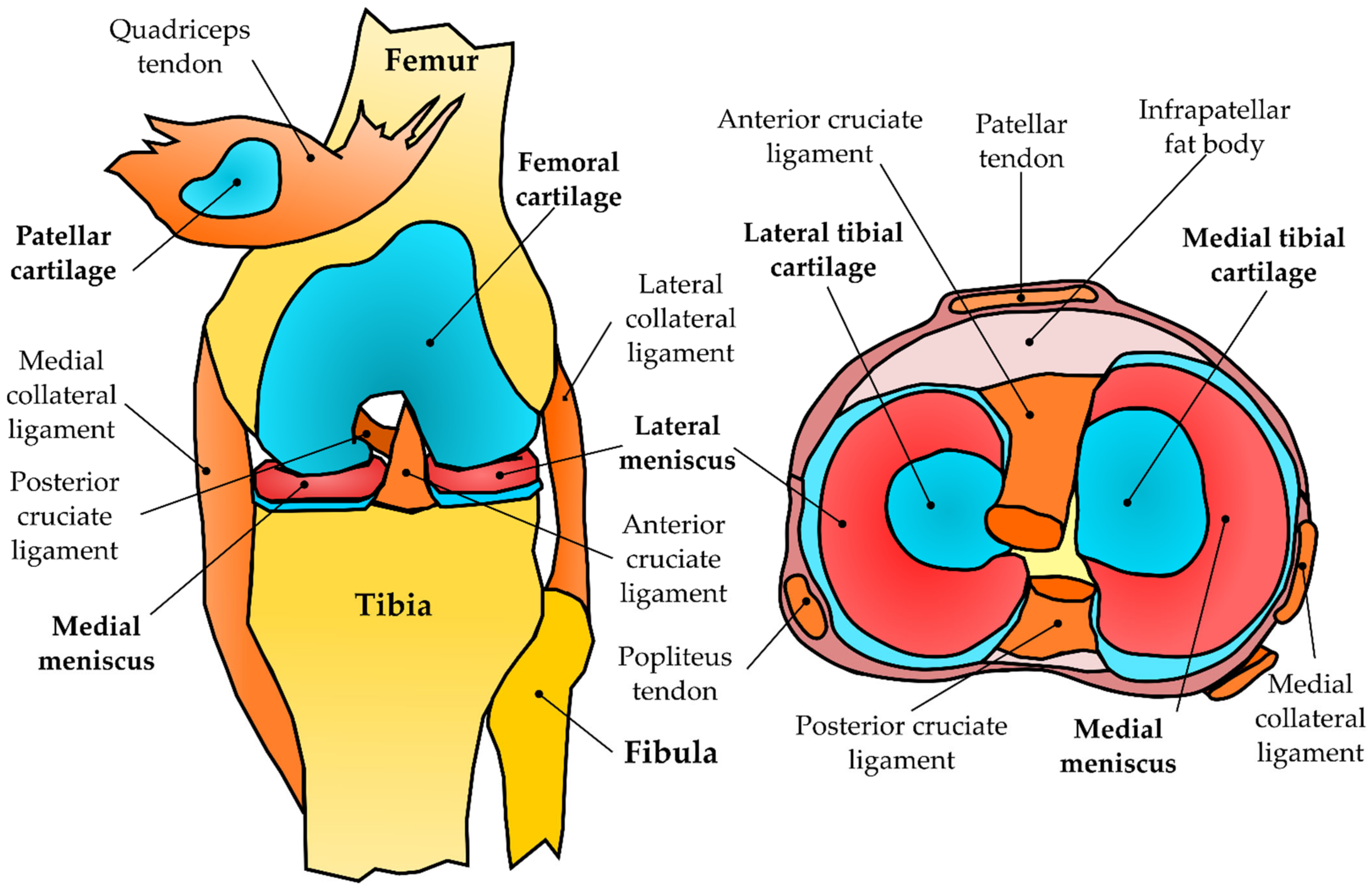 Applsci 11 11440 g001