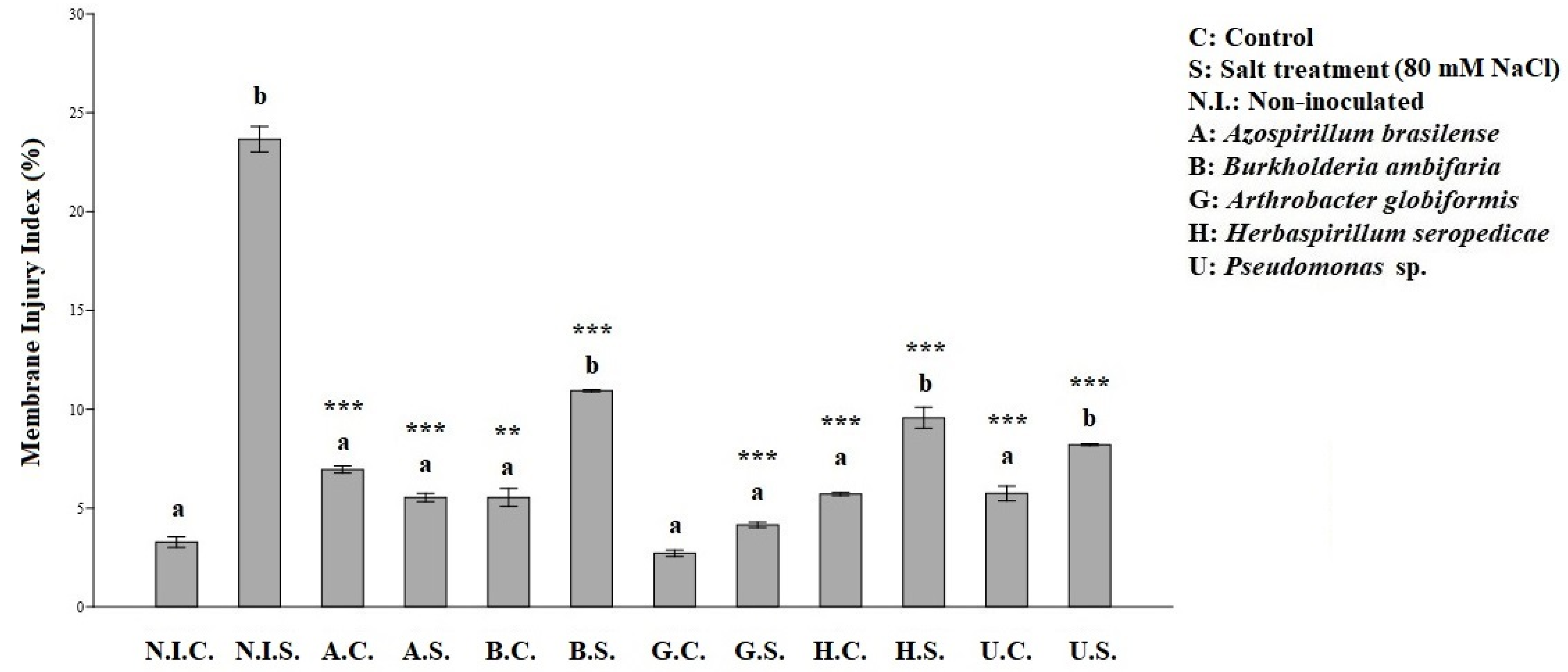 Applsci 11 11442 g003