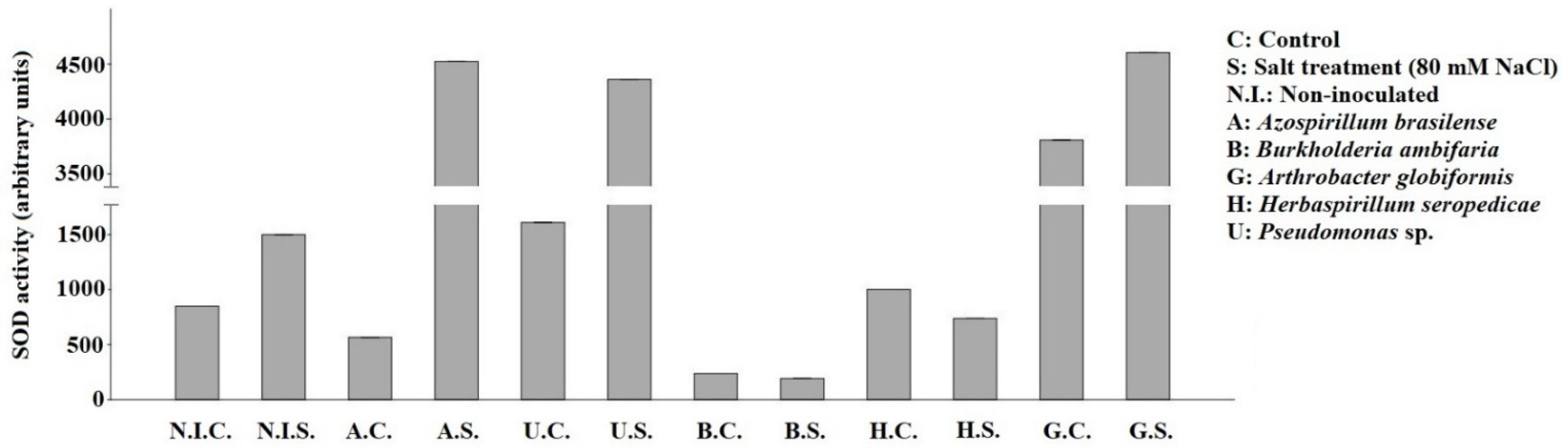 Applsci 11 11442 g004