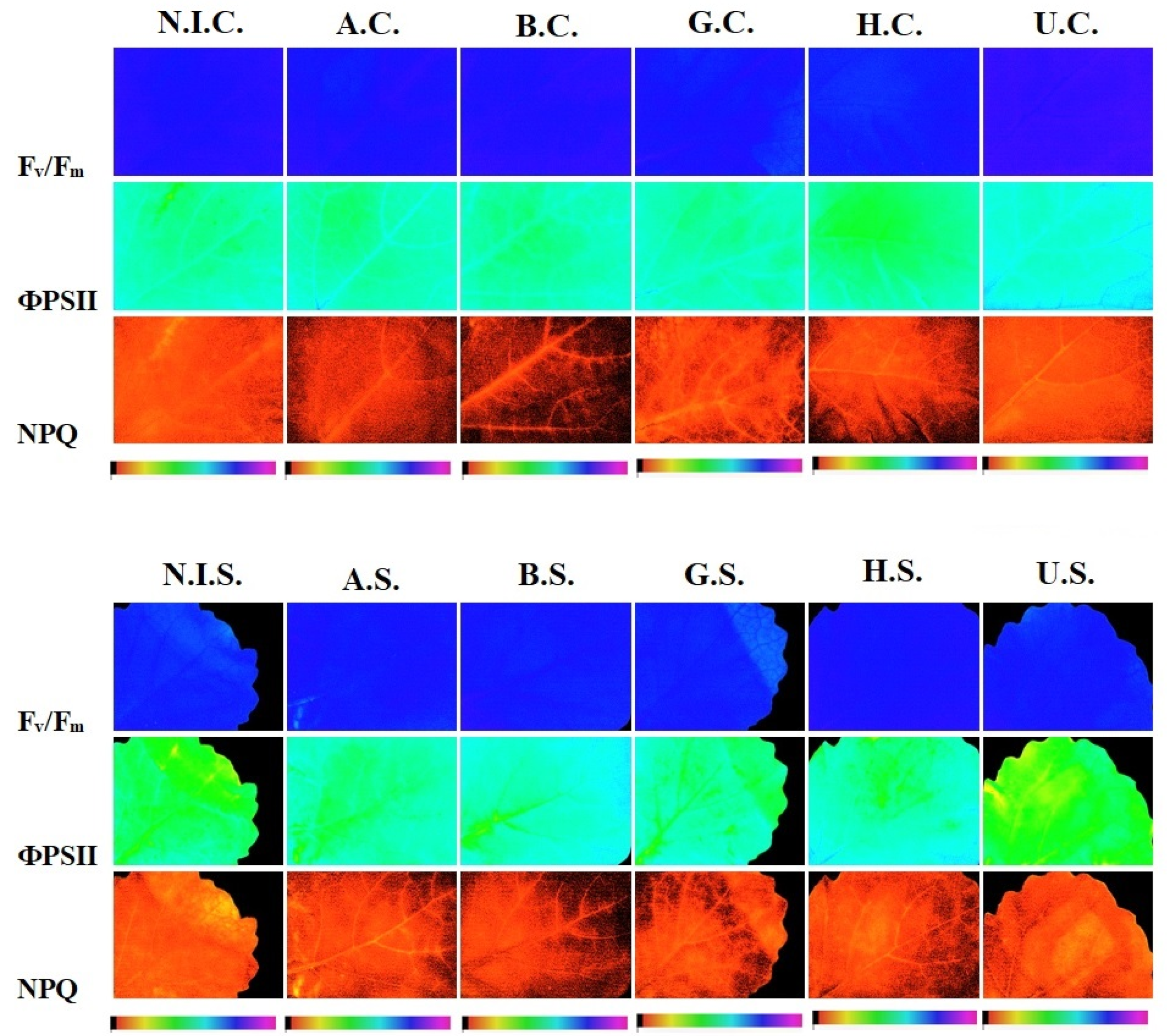 Applsci 11 11442 g006