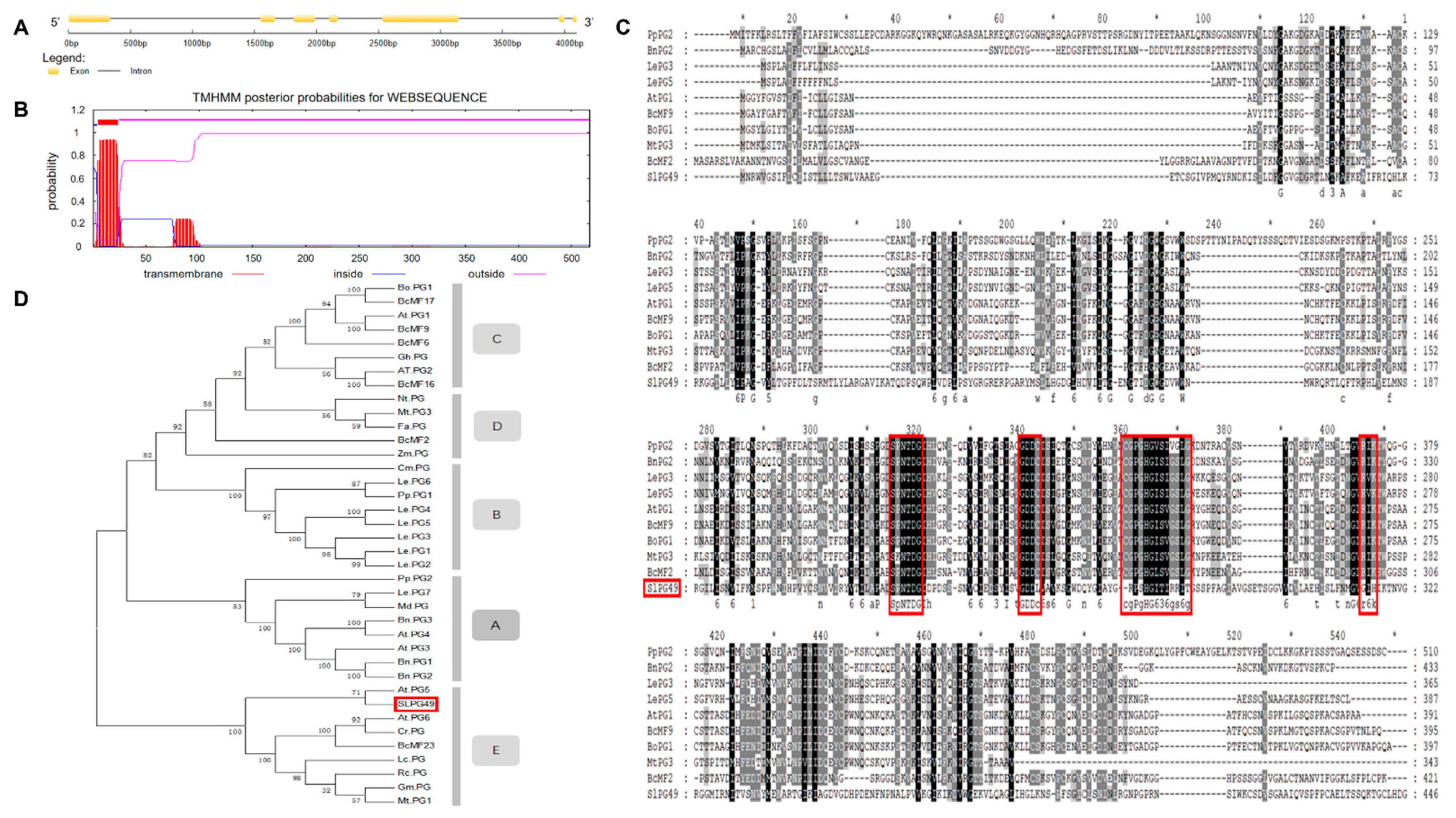 Applsci 11 11450 g001