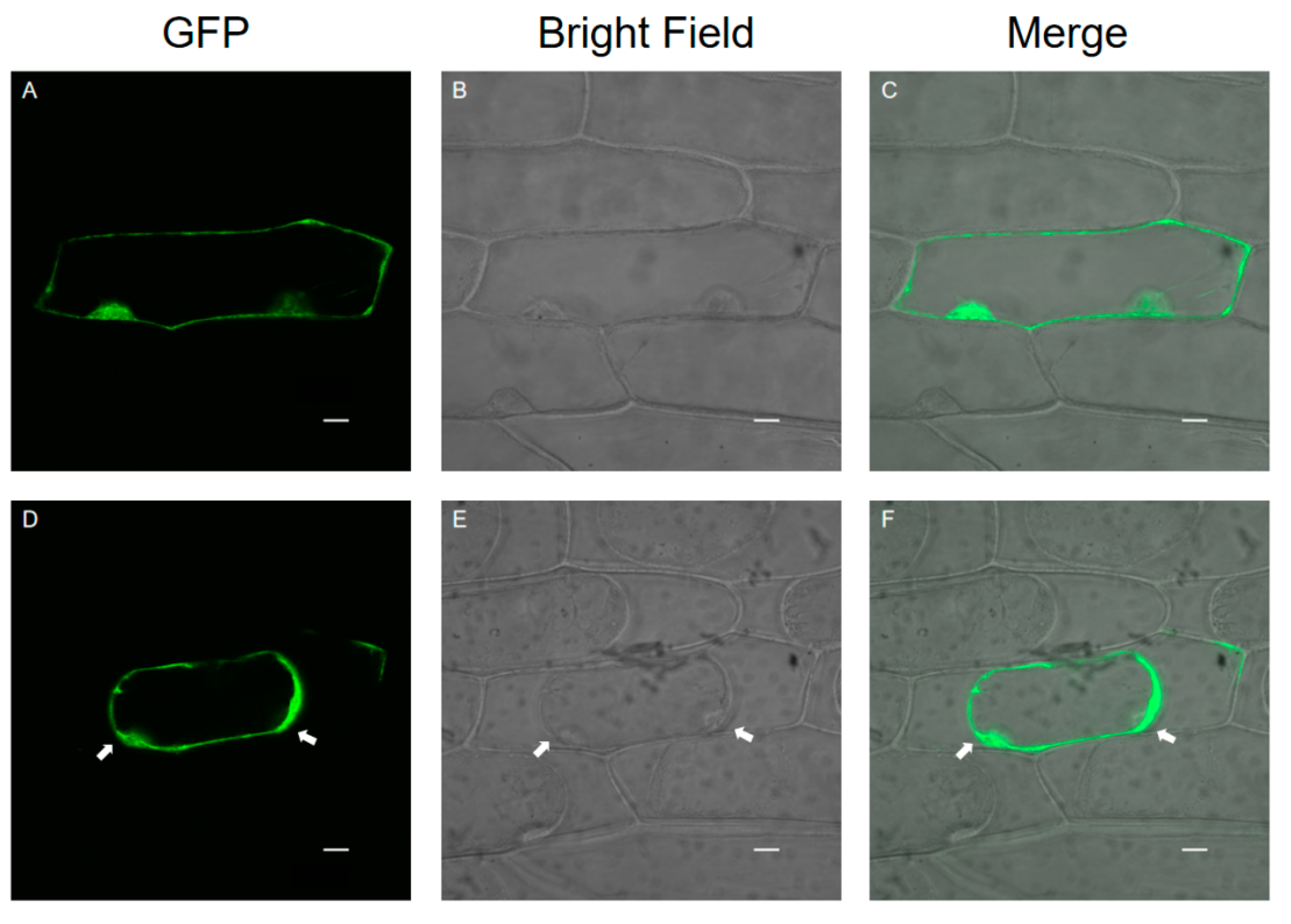 Applsci 11 11450 g003