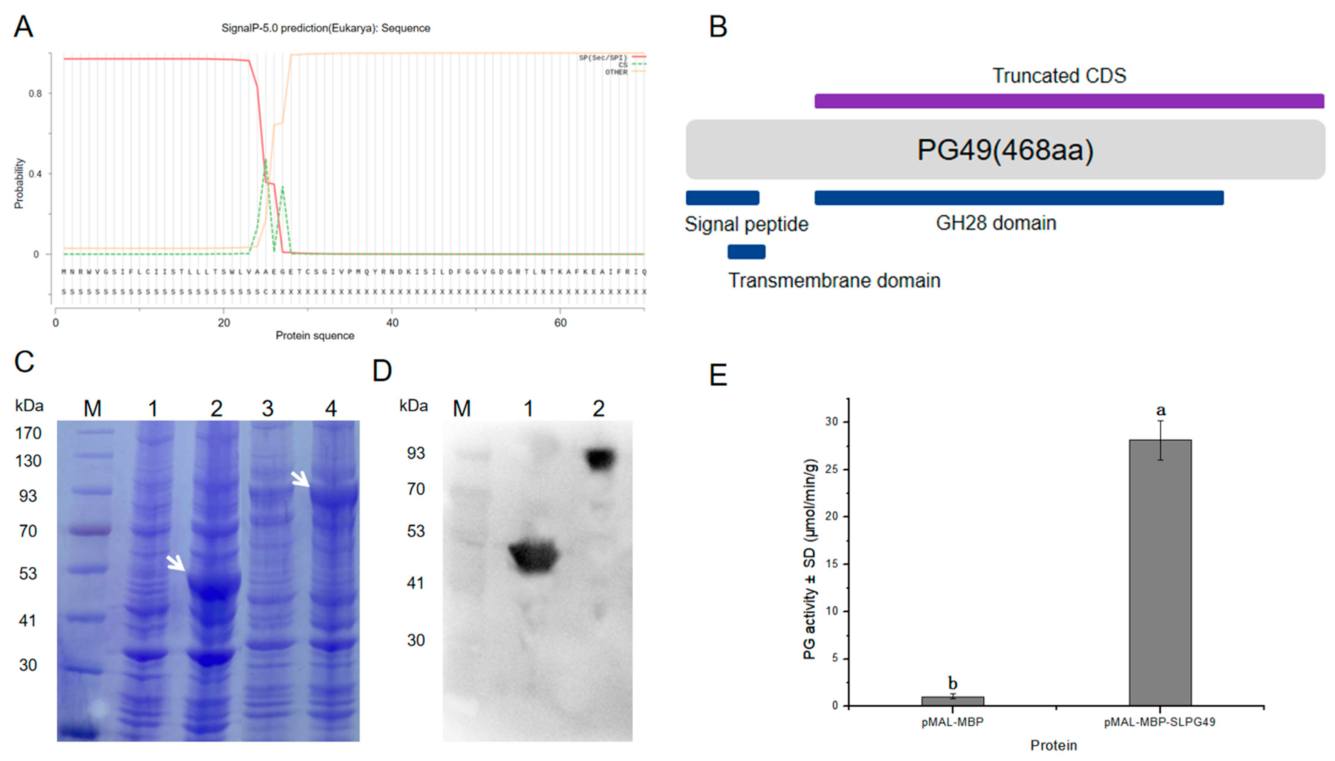 Applsci 11 11450 g004