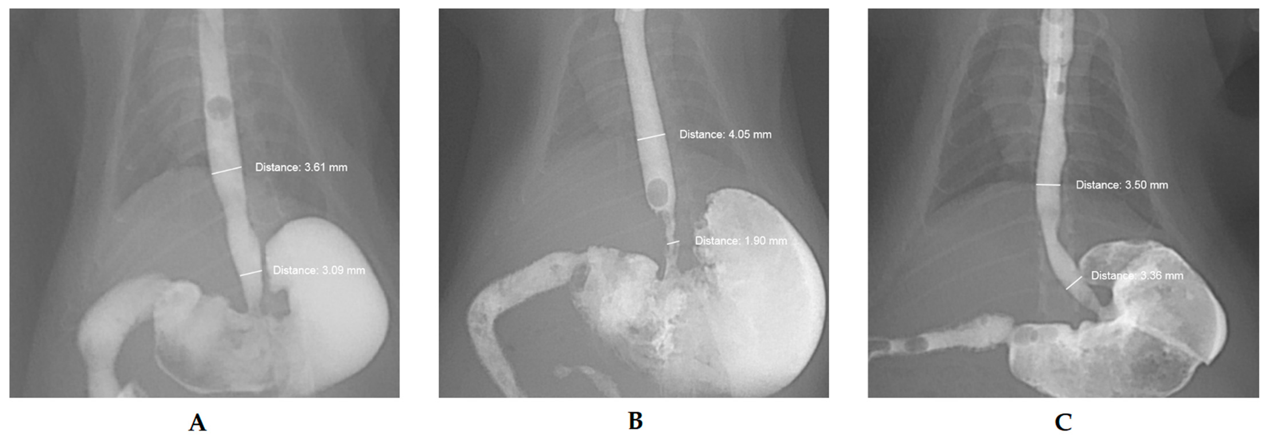 Applsci 11 11536 g001