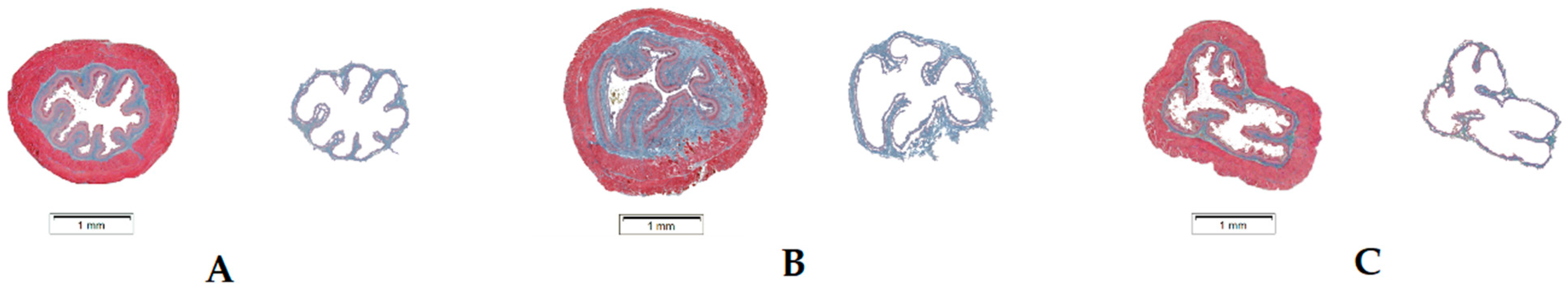 Applsci 11 11536 g002