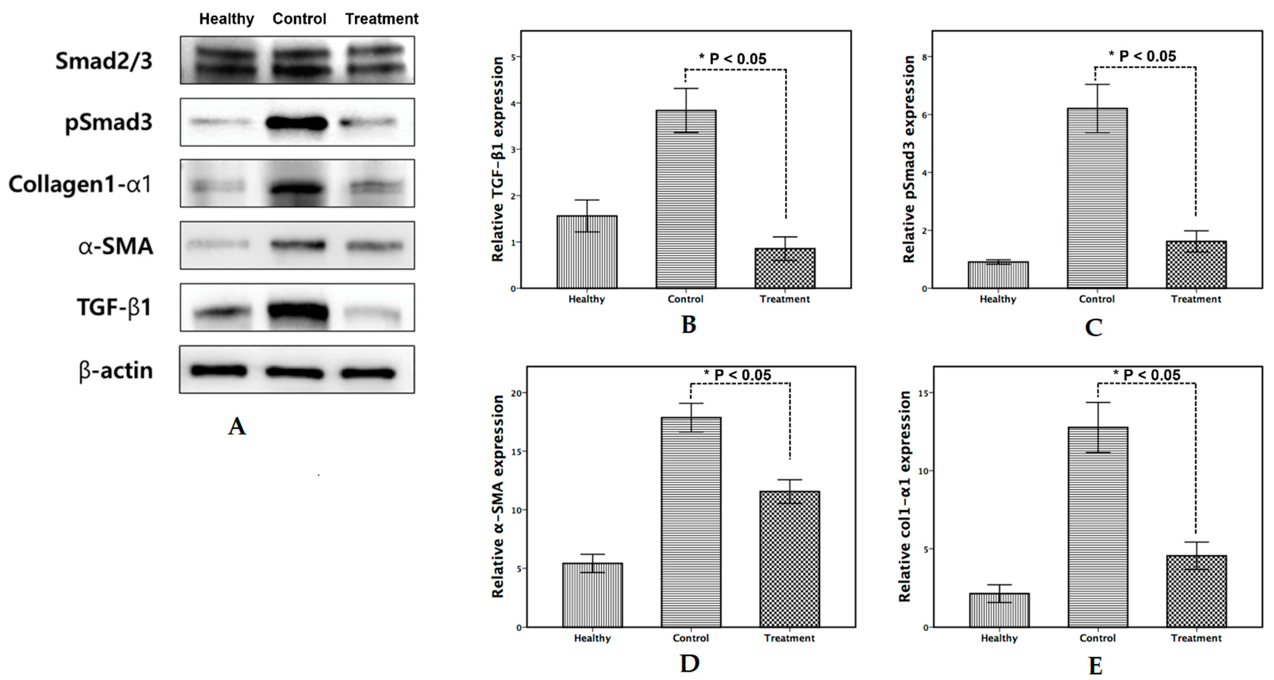 Applsci 11 11536 g003