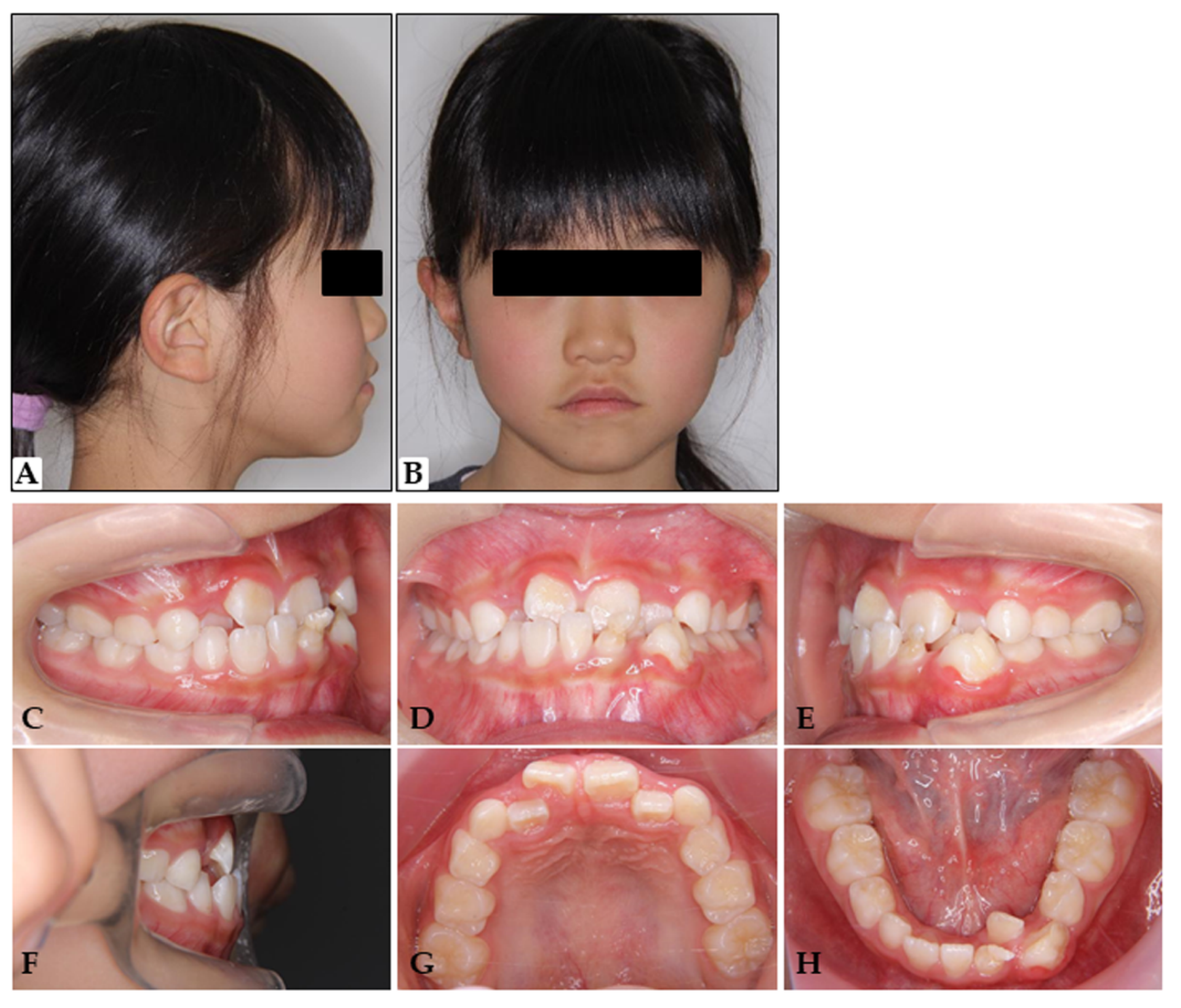 Applsci 11 11541 g001