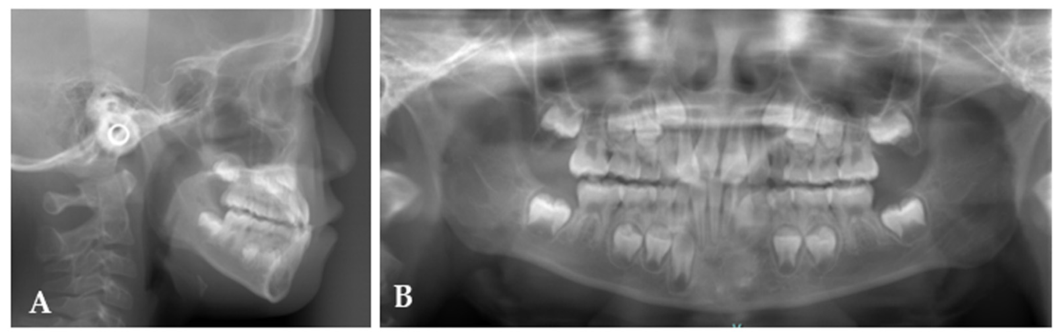 Applsci 11 11541 g002