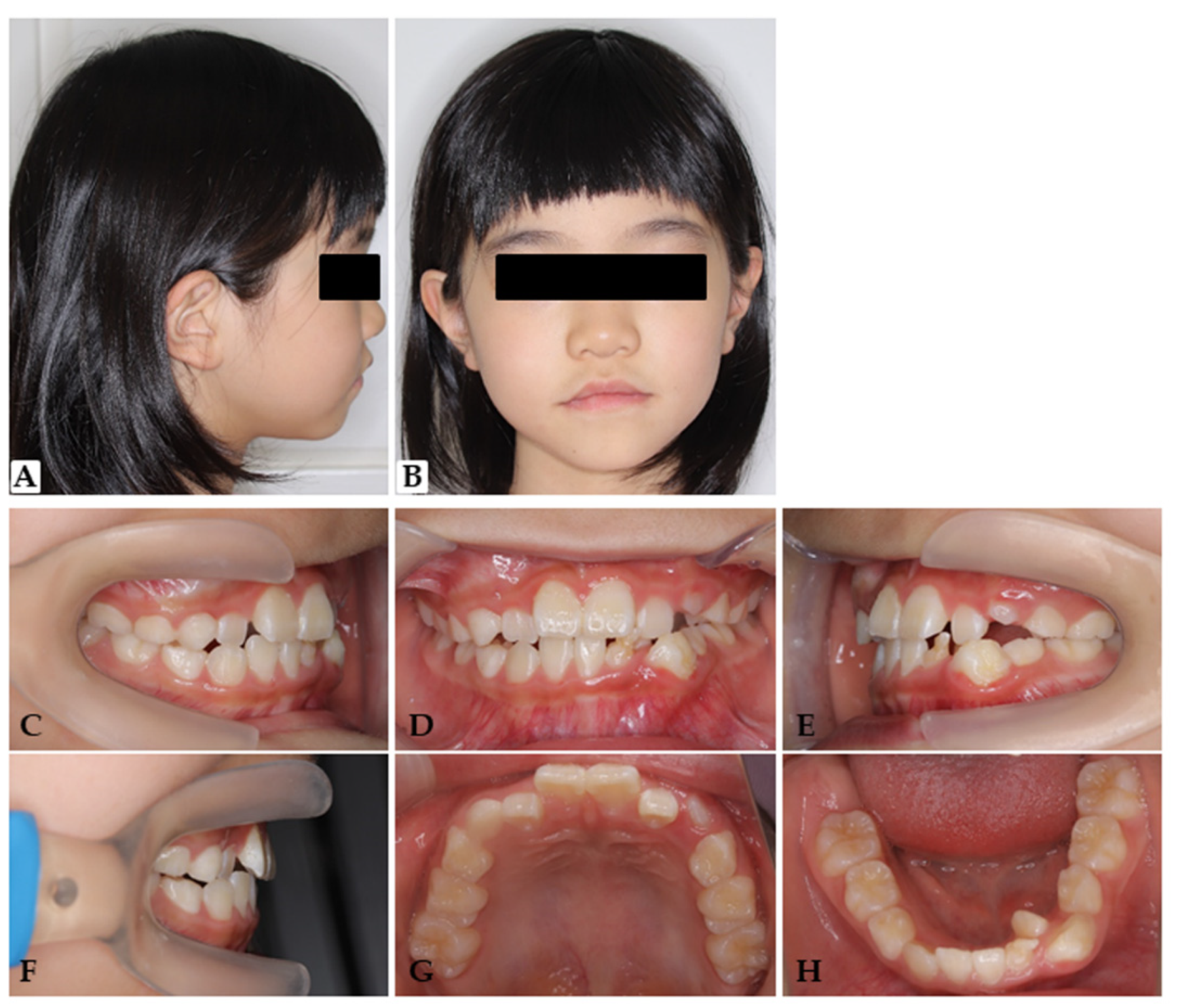 Applsci 11 11541 g003