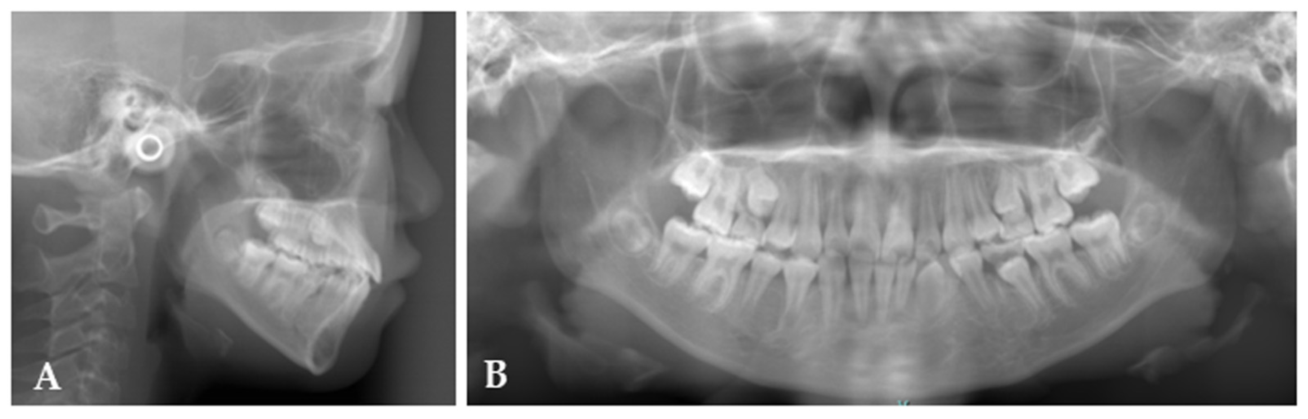 Applsci 11 11541 g006