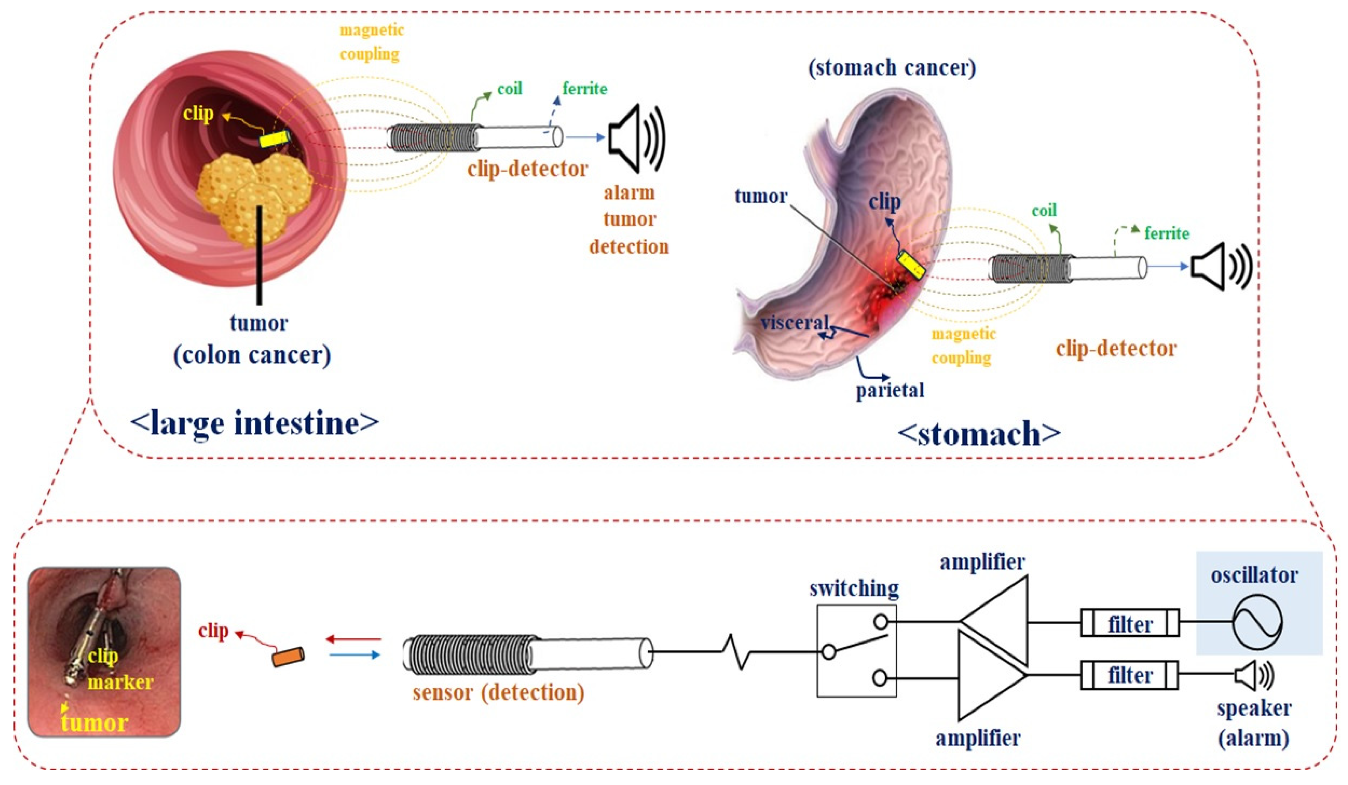 Applsci 11 11550 g001