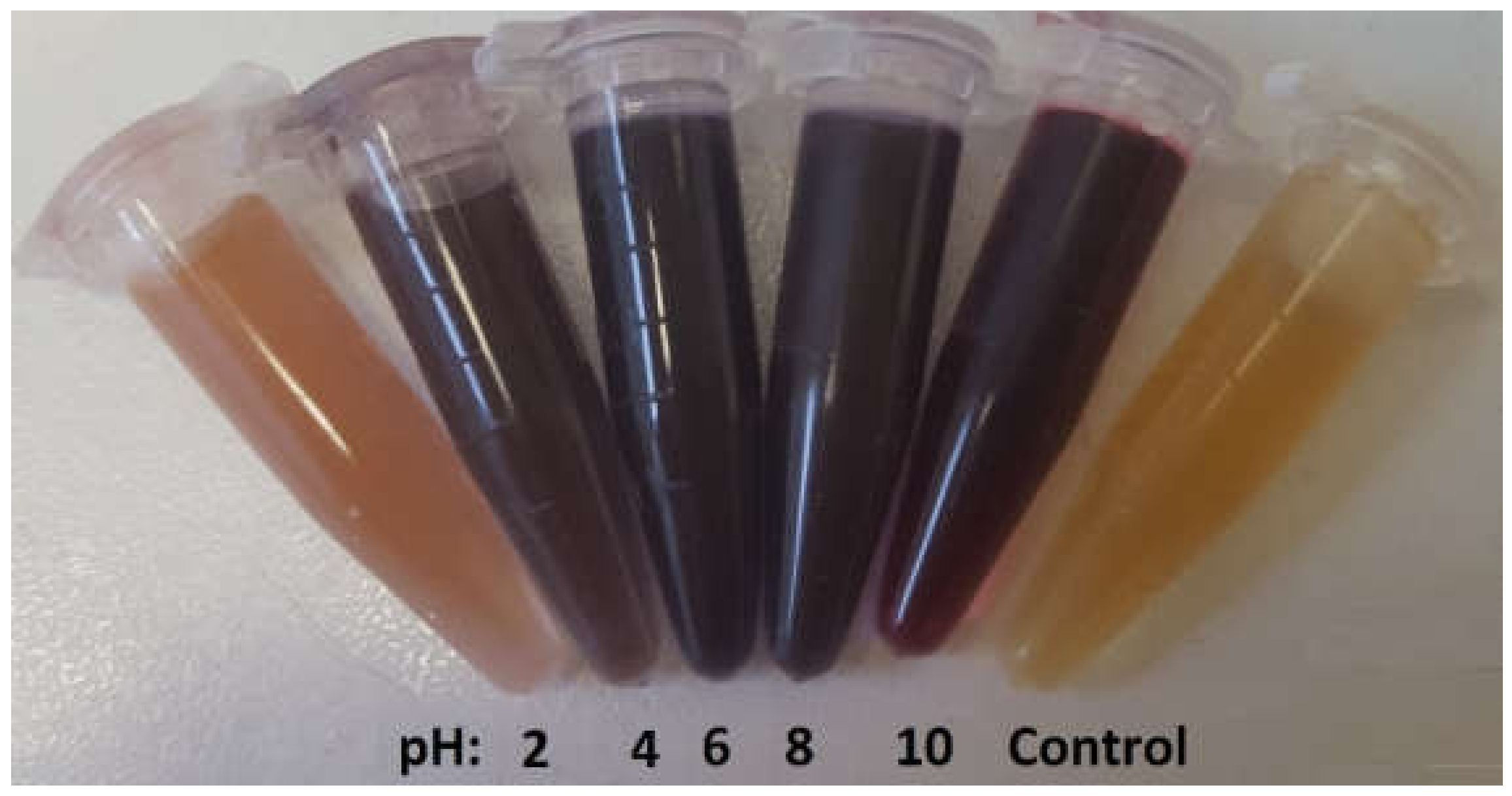 Applsci 11 11559 g001