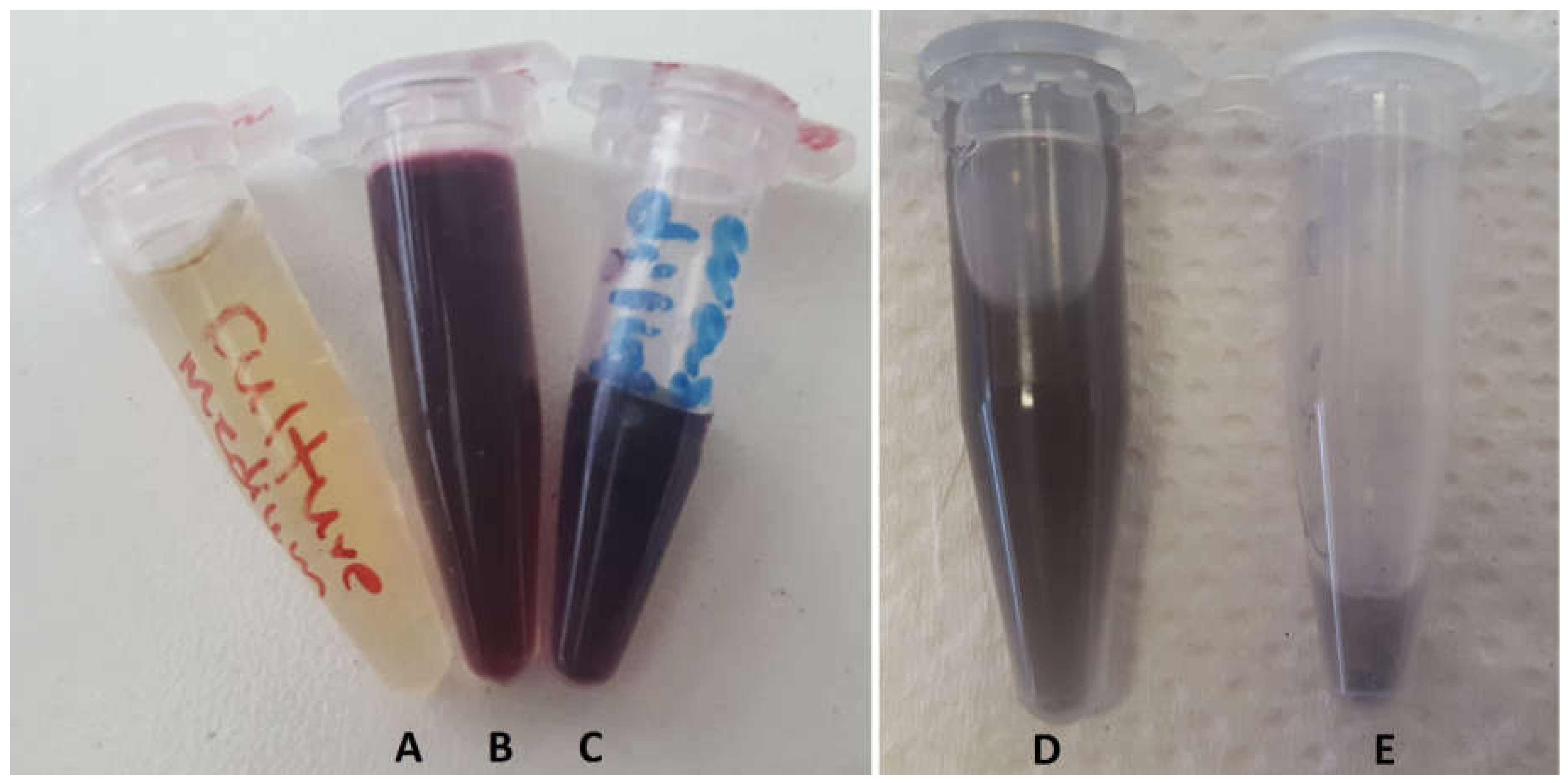 Applsci 11 11559 g003