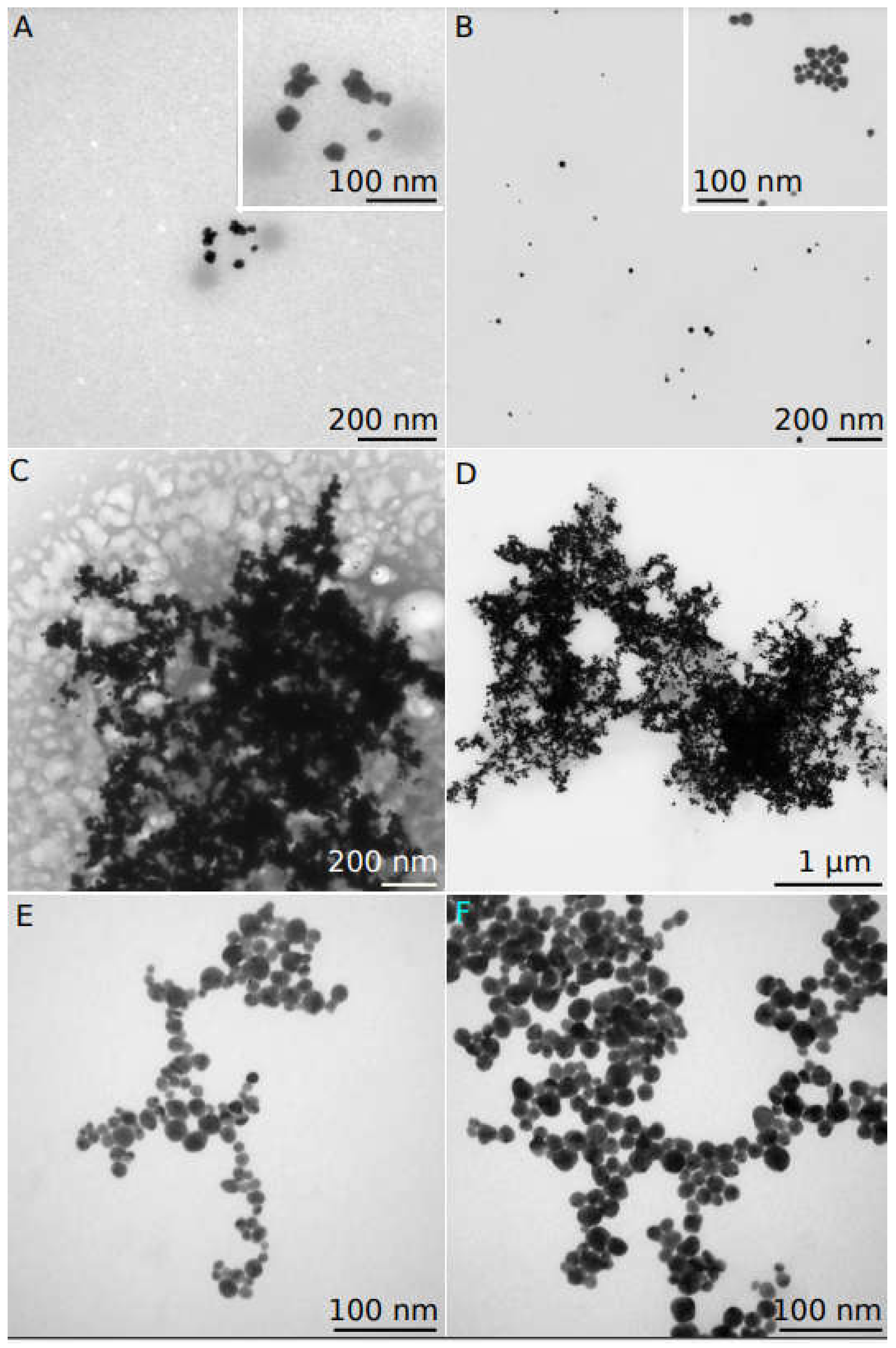 Applsci 11 11559 g004