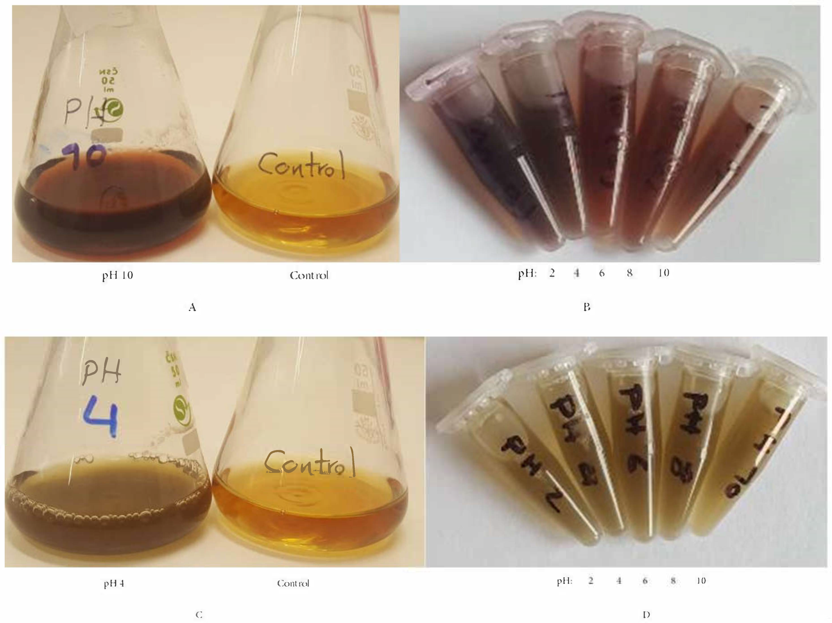 Applsci 11 11559 g008