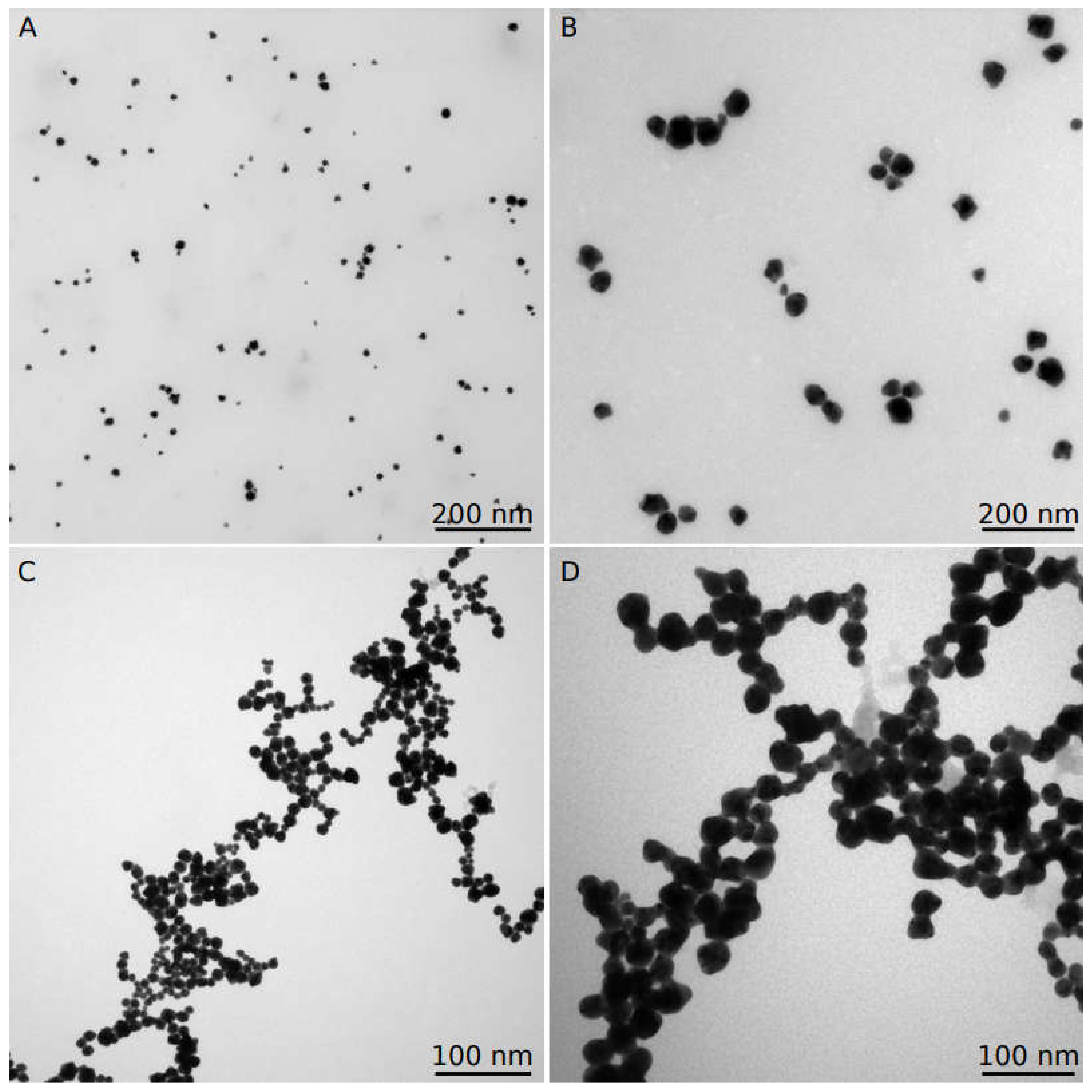 Applsci 11 11559 g010