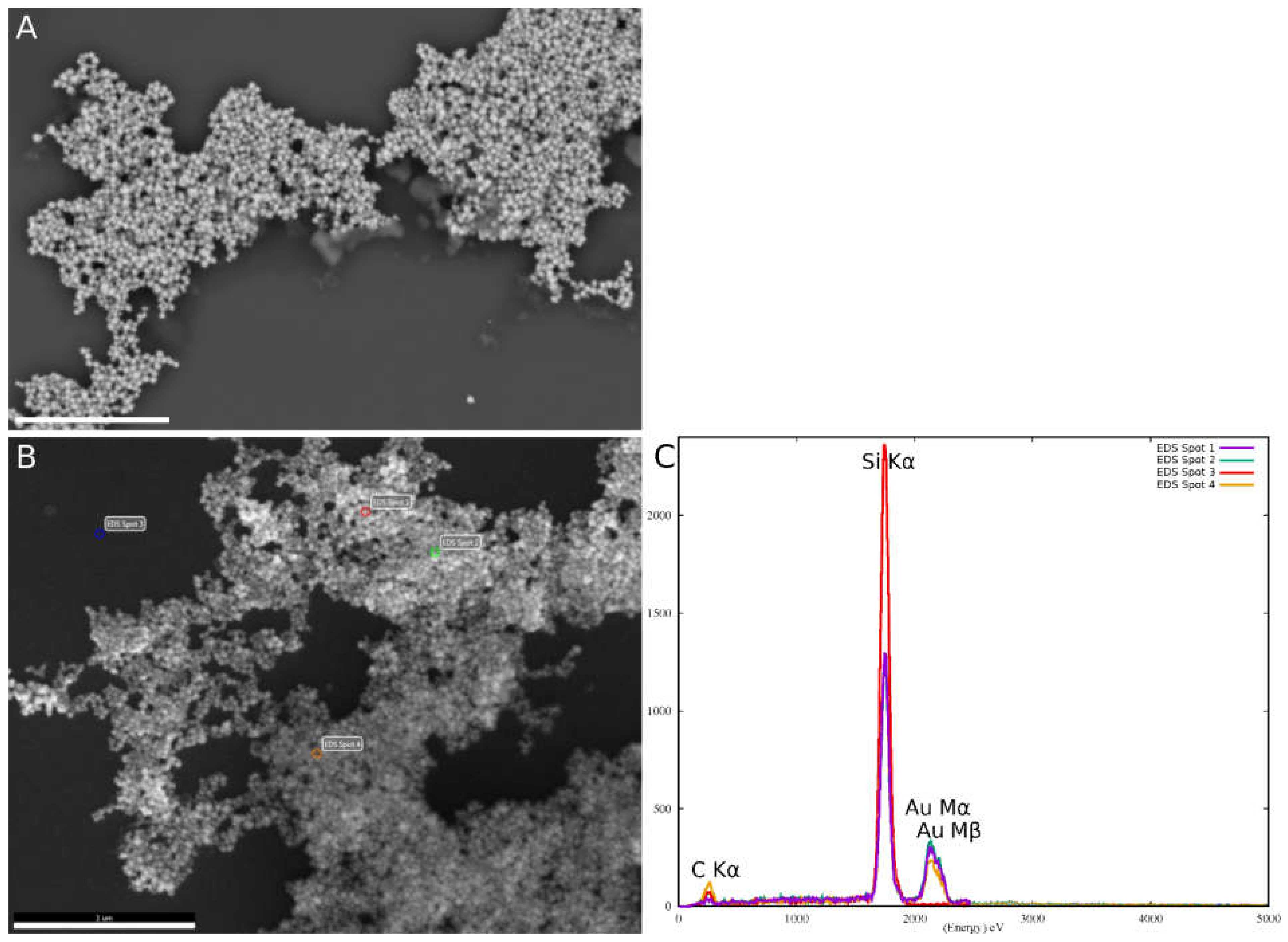 Applsci 11 11559 g013