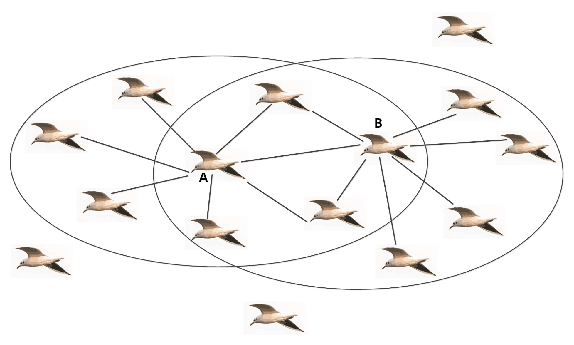 Applsci 11 11560 g001