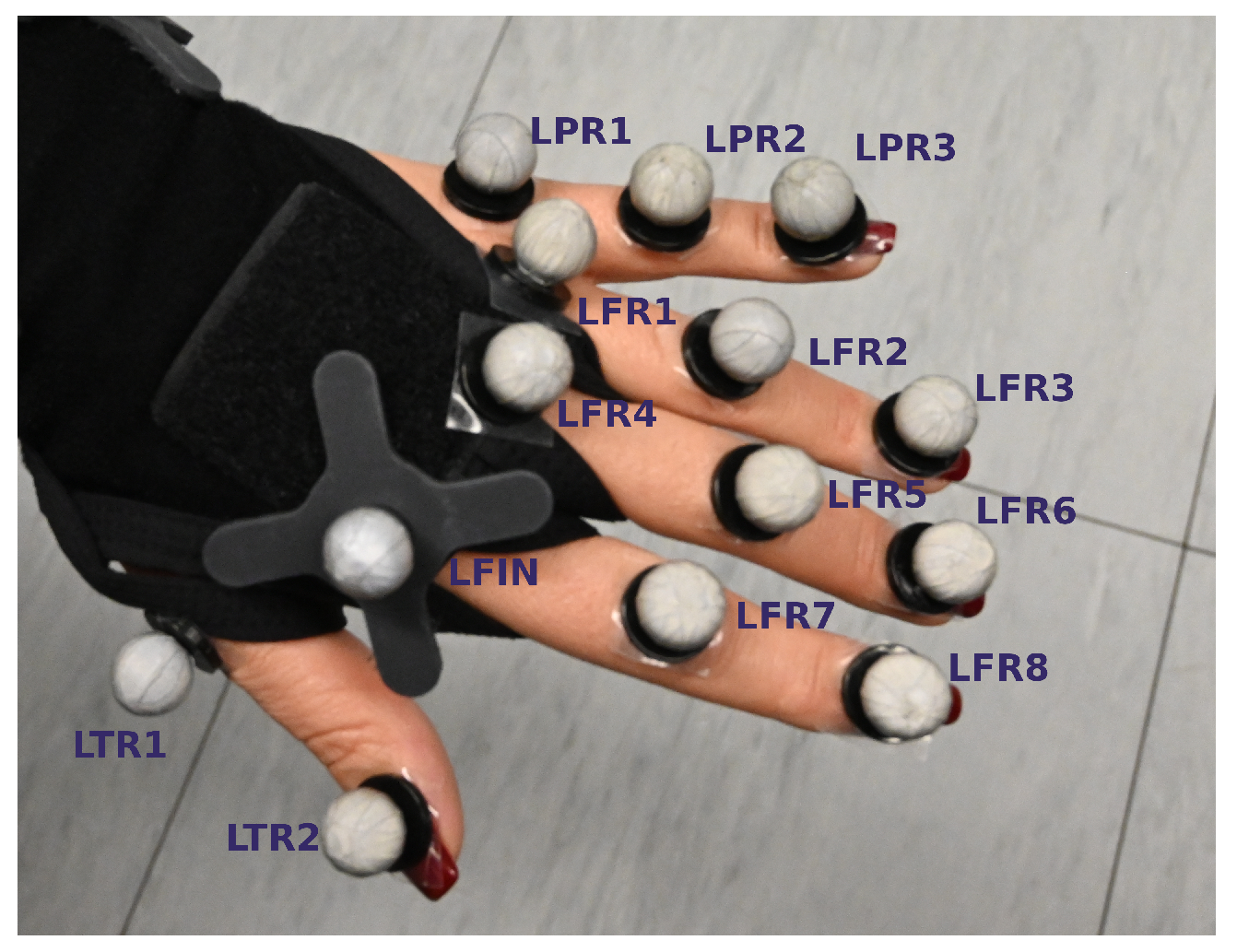 Applsci 11 11568 g002