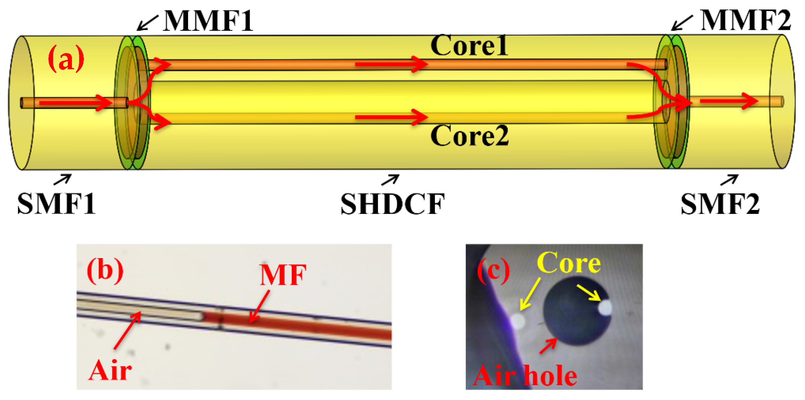 Applsci 11 11569 g001