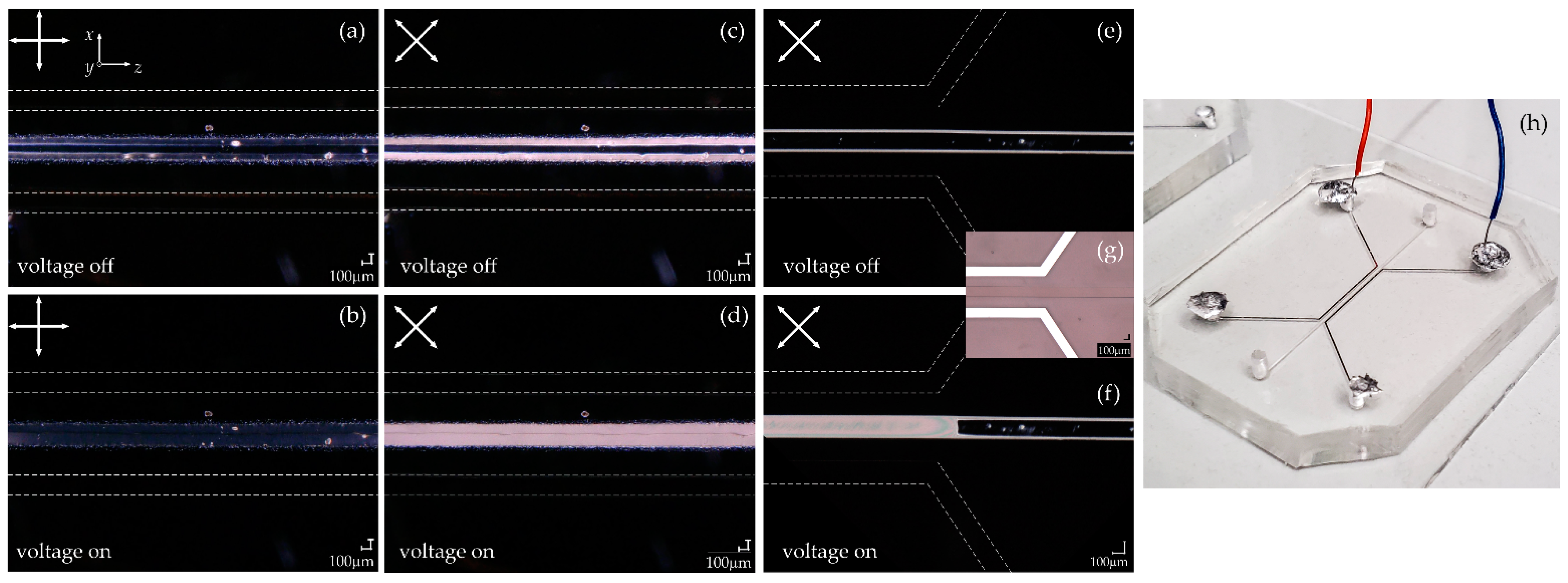 Applsci 11 11593 g007