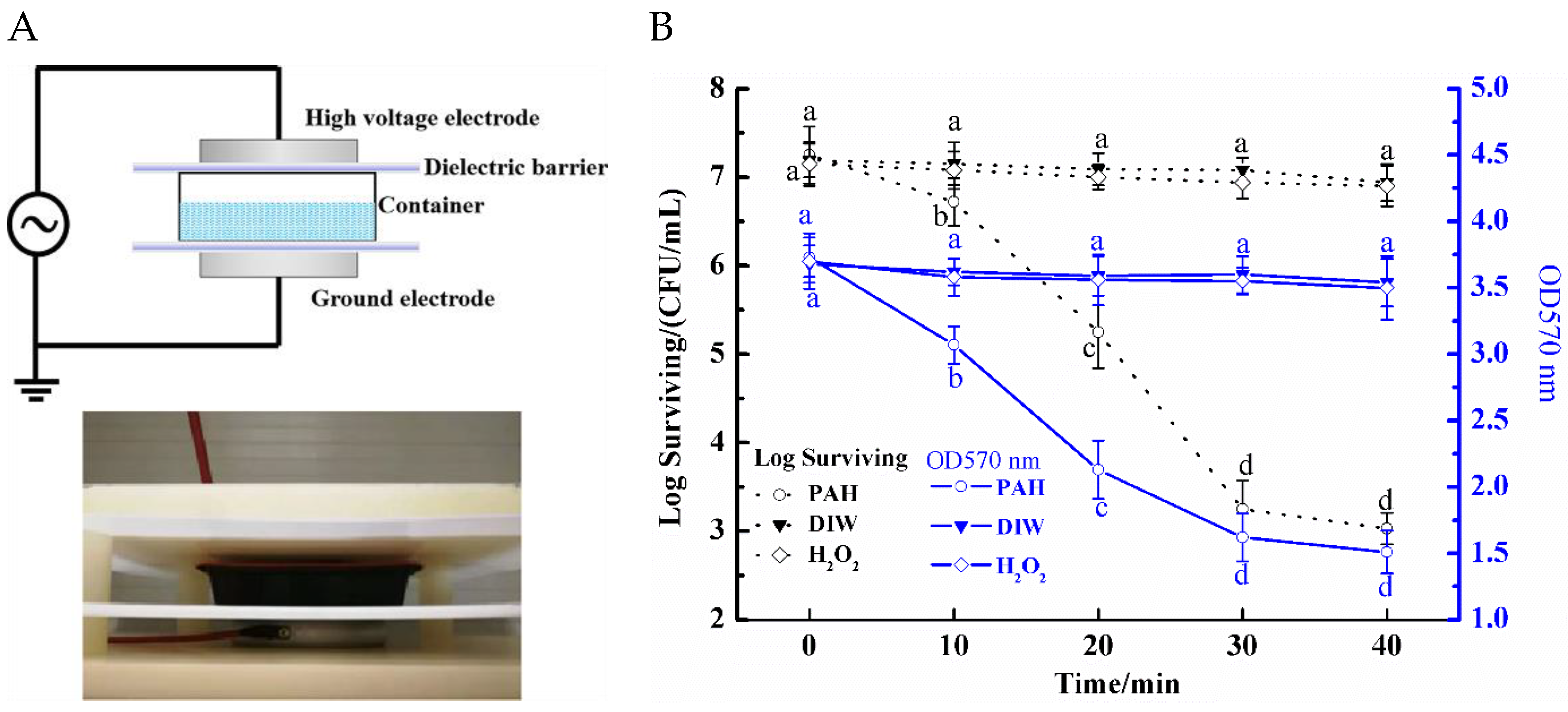 Applsci 11 11597 g001