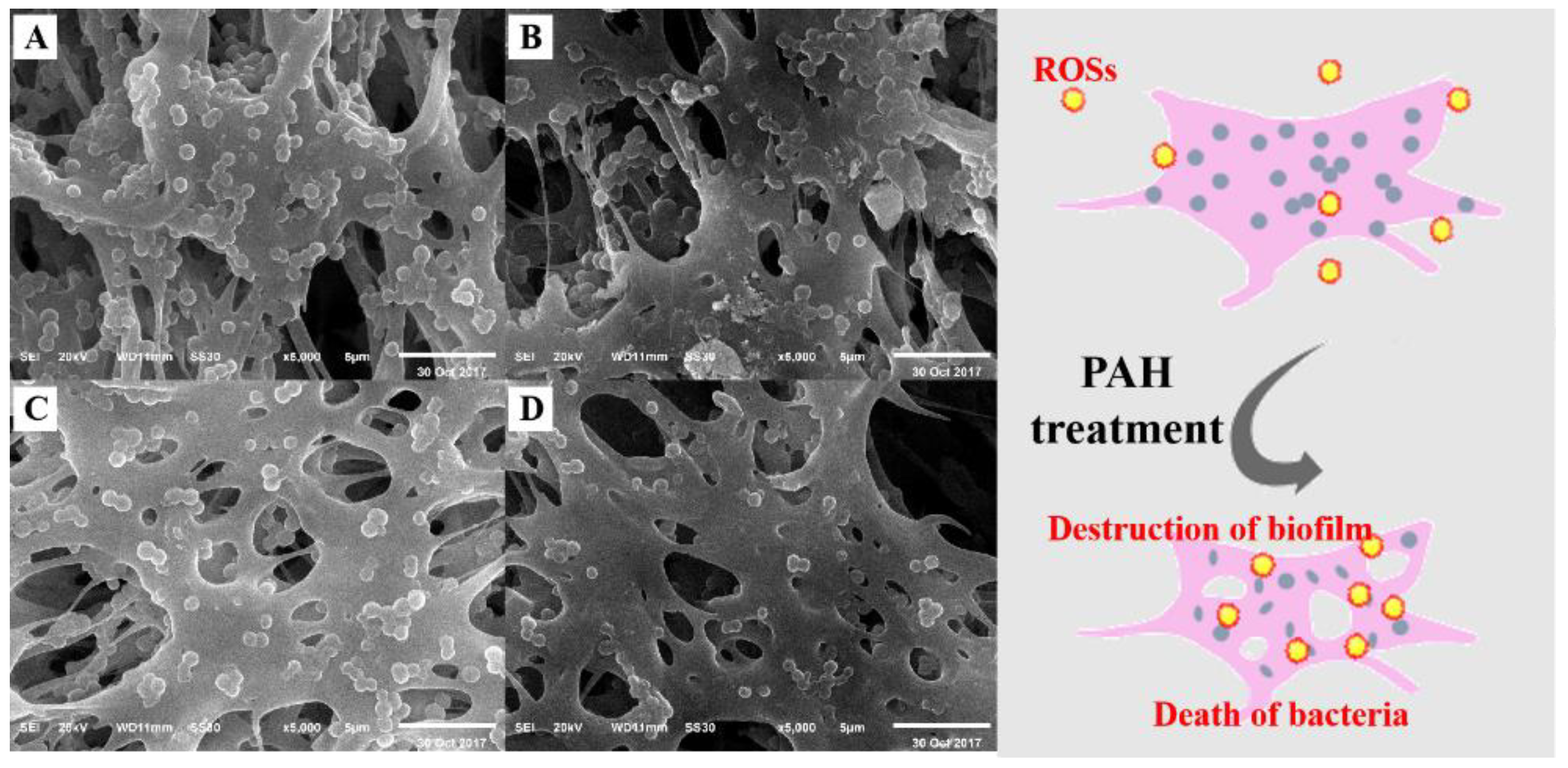 Applsci 11 11597 g002