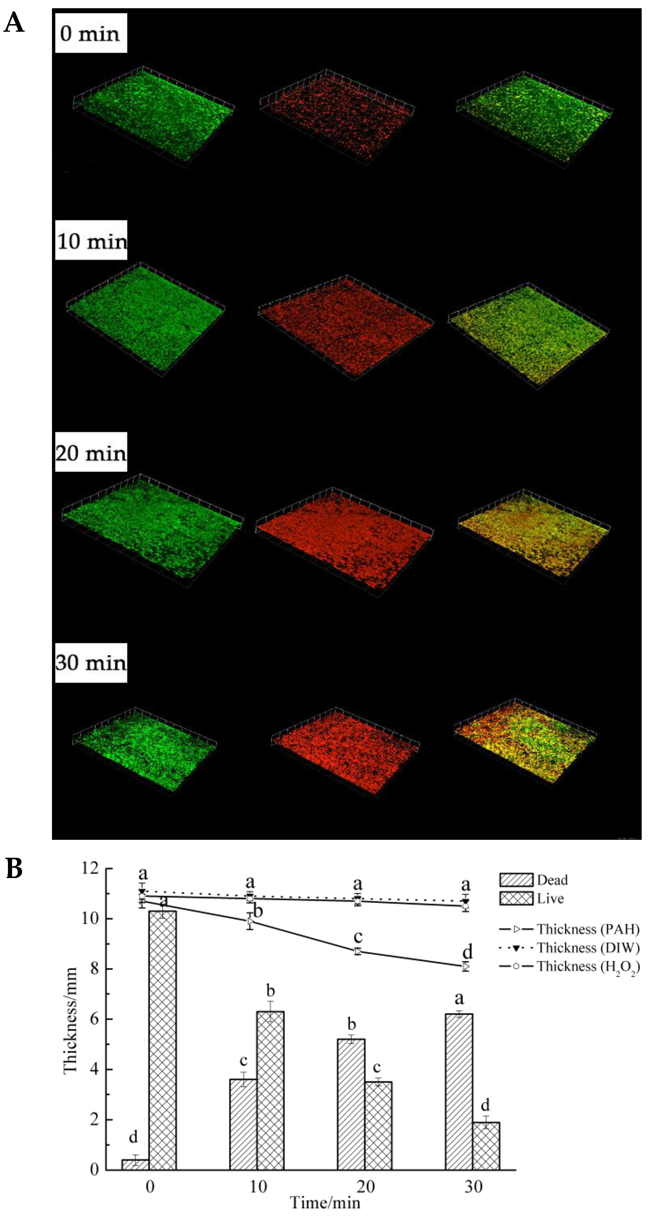 Applsci 11 11597 g003
