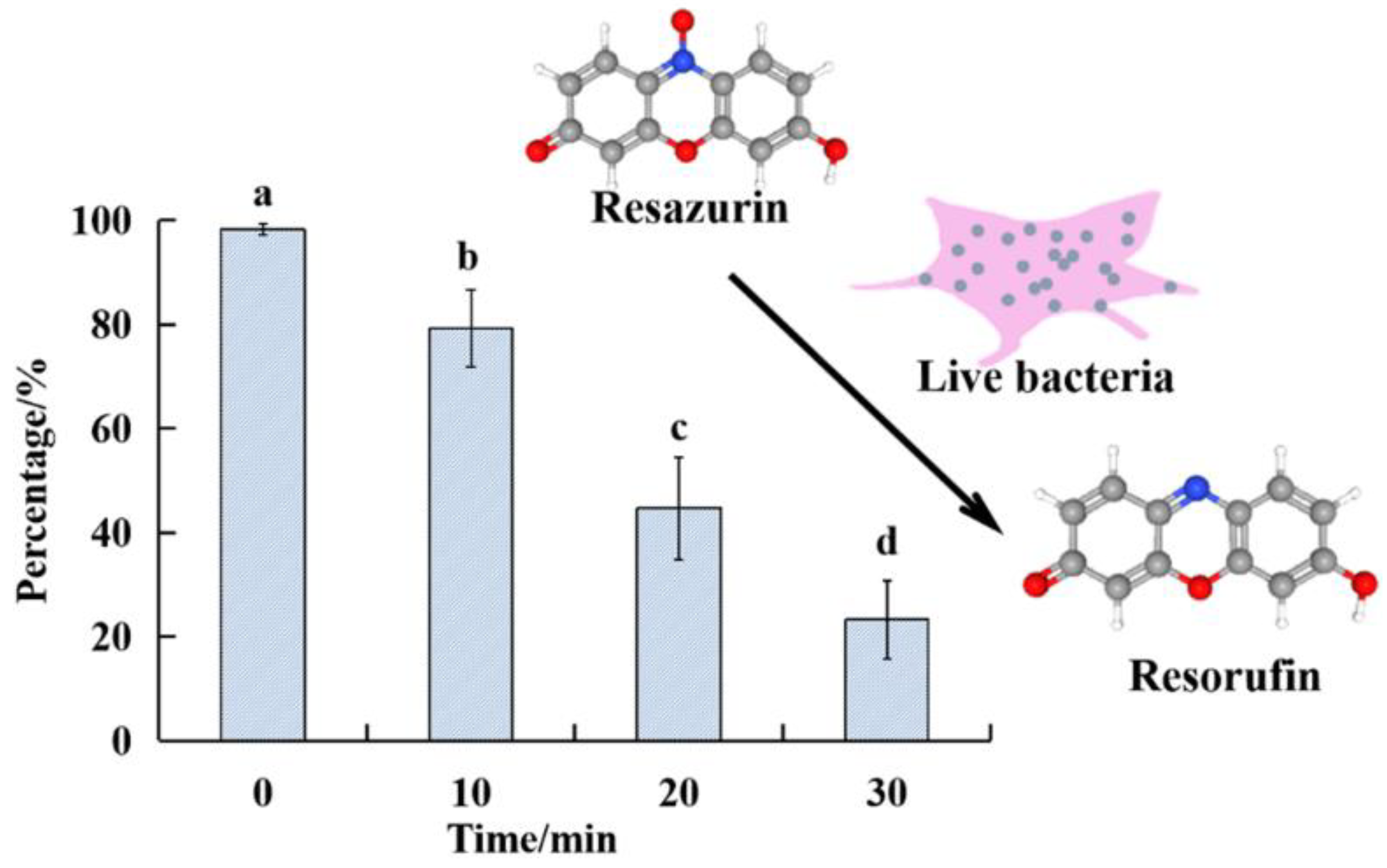 Applsci 11 11597 g005