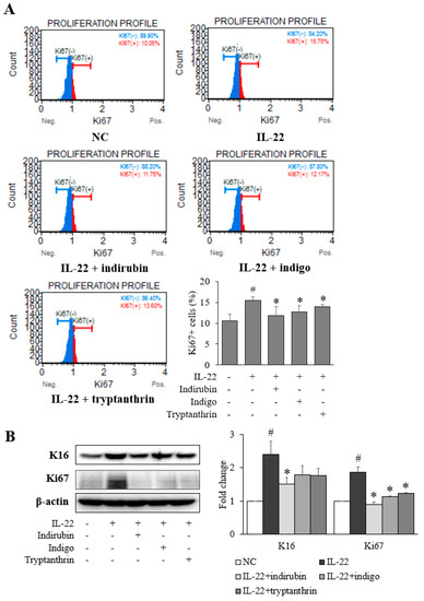 Applsci 11 11599 g003a 550