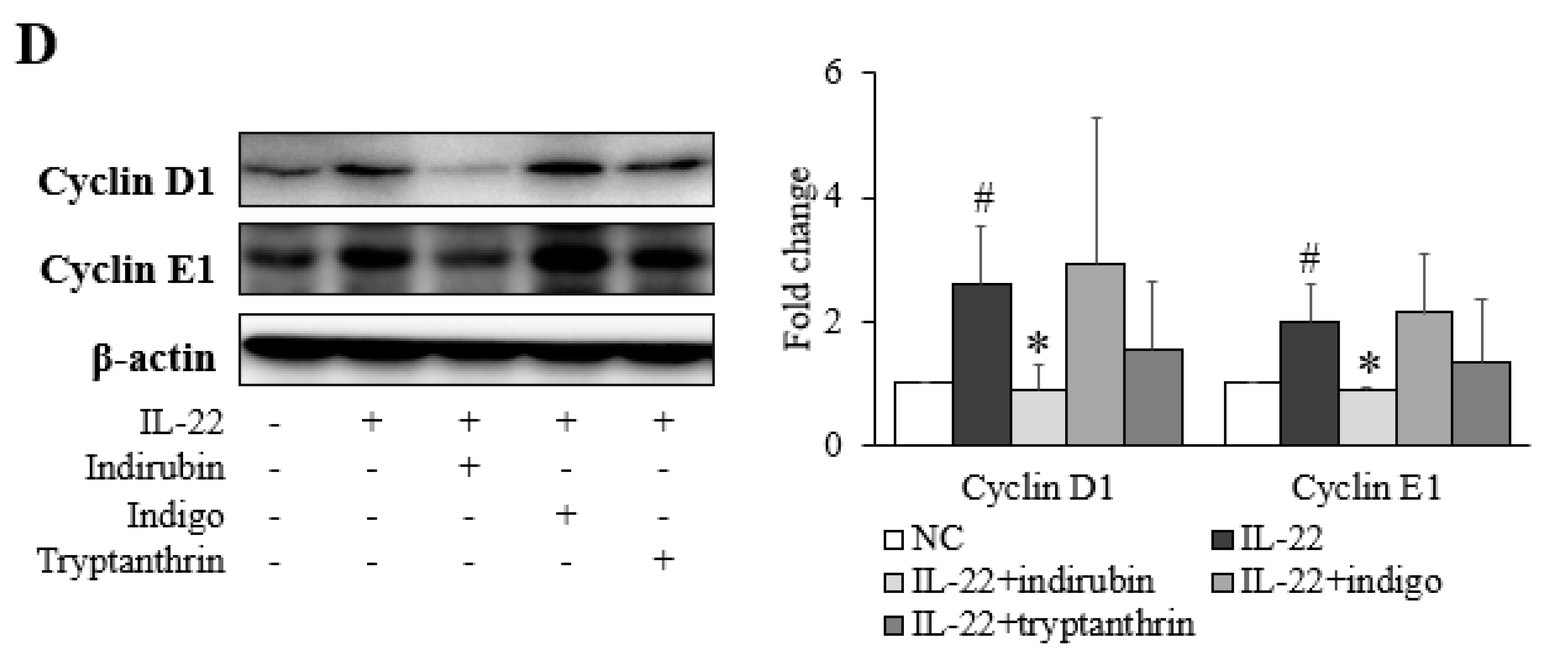 Applsci 11 11599 g003c