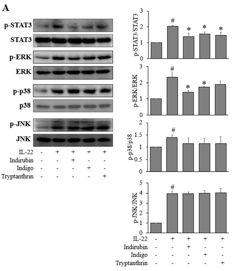 Applsci 11 11599 g004a 550