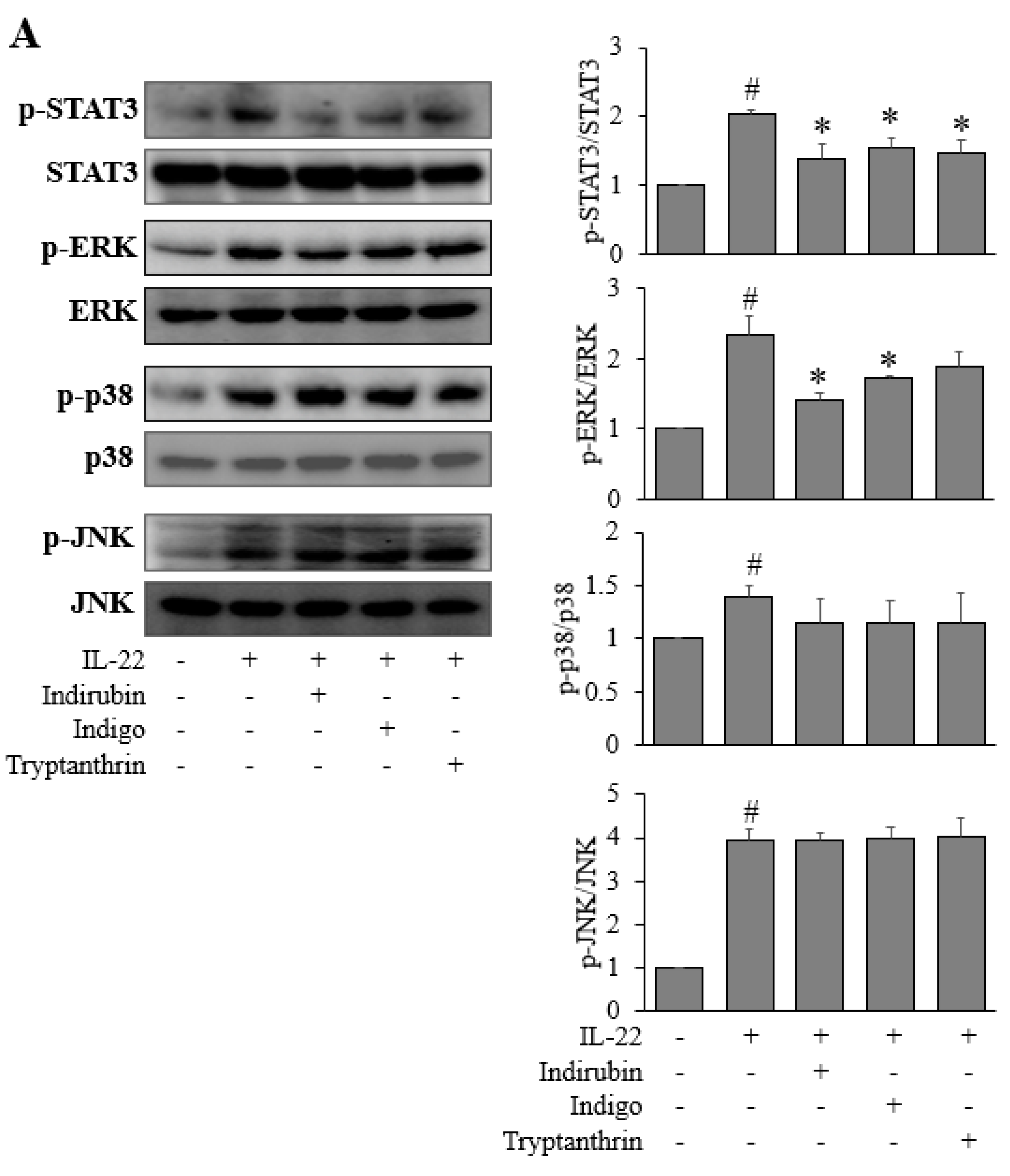 Applsci 11 11599 g004a
