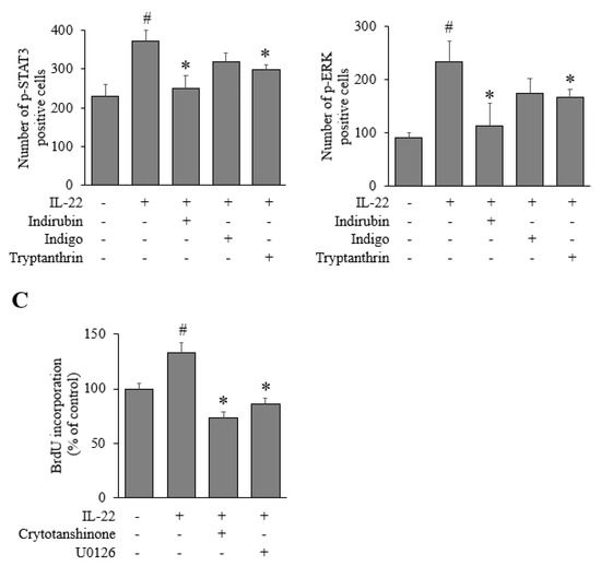 Applsci 11 11599 g004c 550