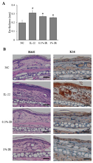 Applsci 11 11599 g005a 550