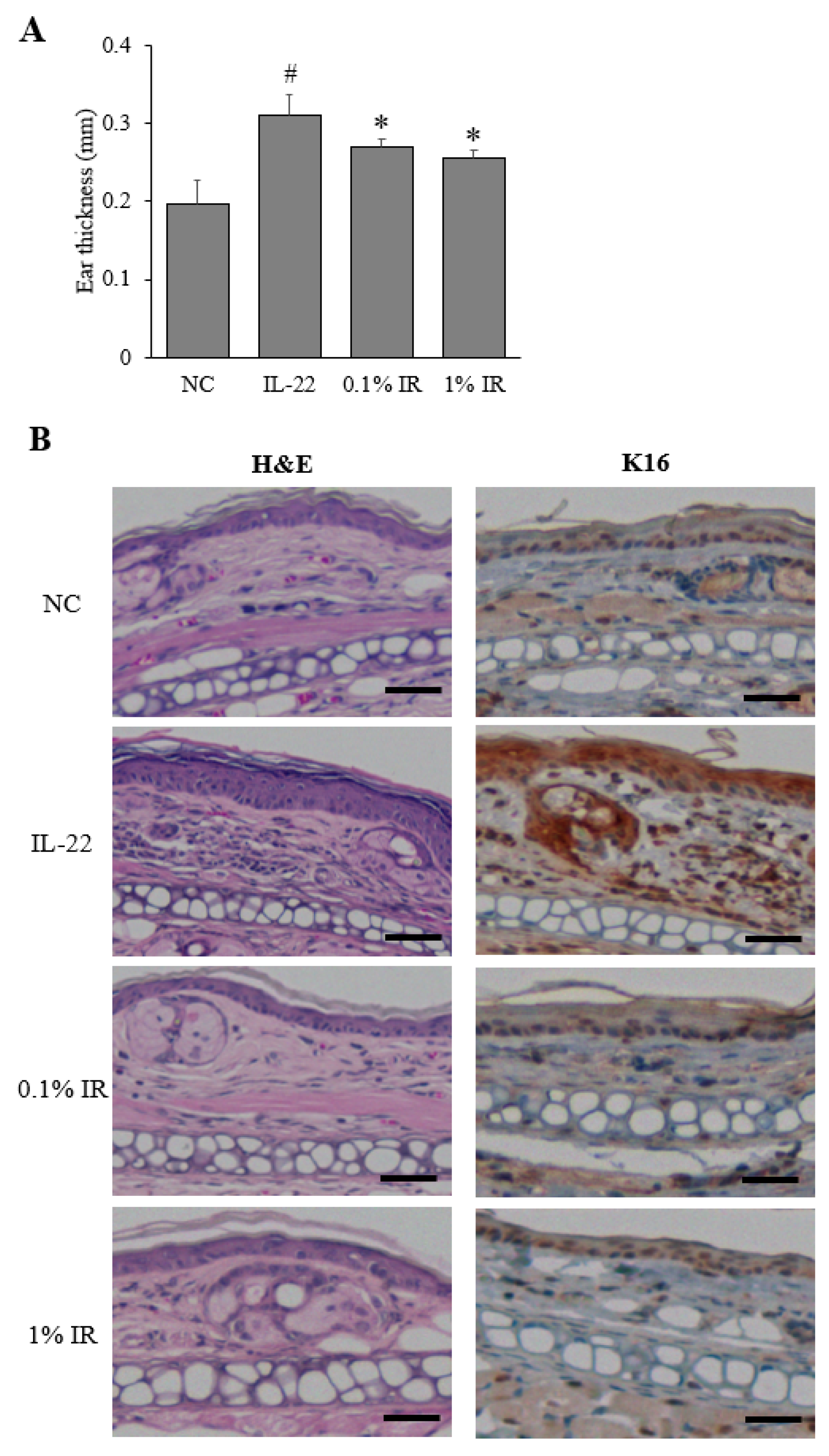 Applsci 11 11599 g005a