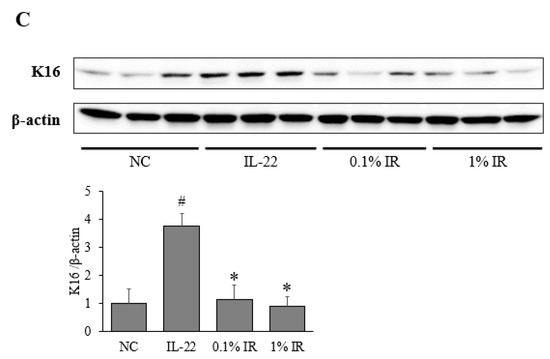 Applsci 11 11599 g005b 550
