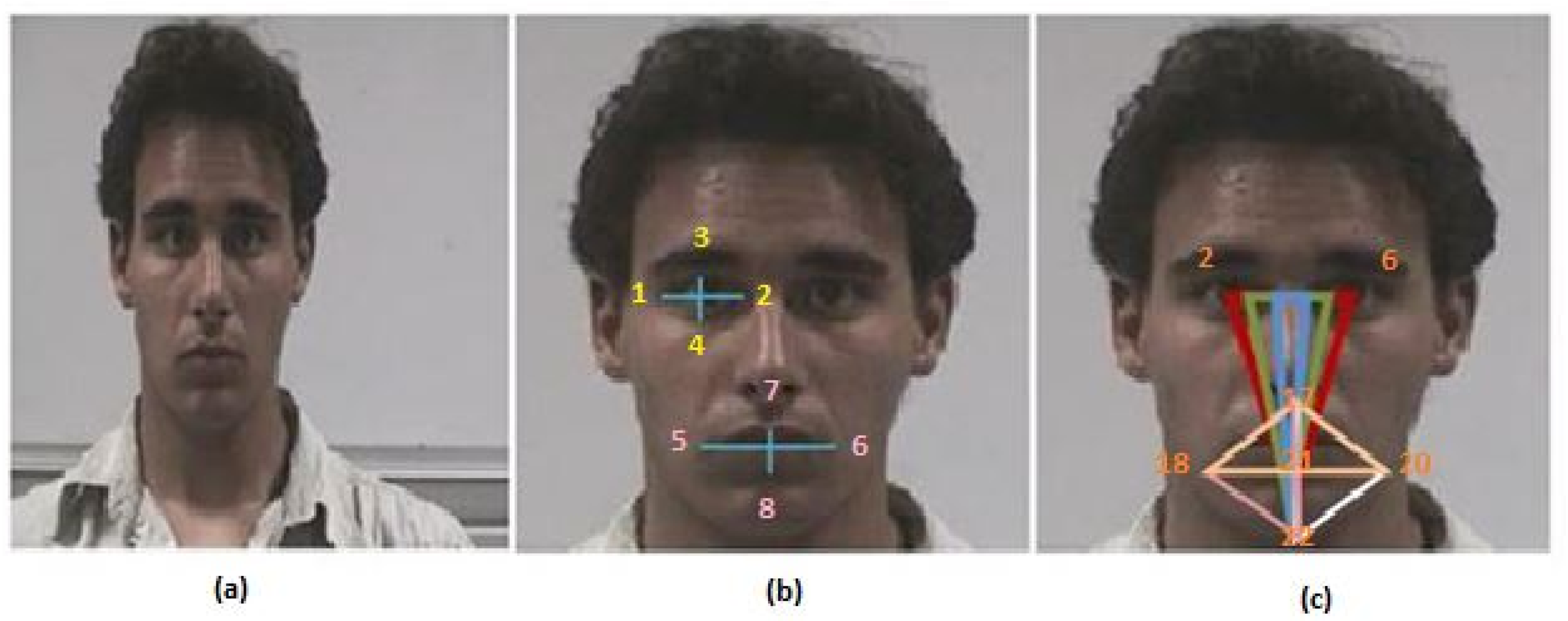 Applsci 11 11600 g003