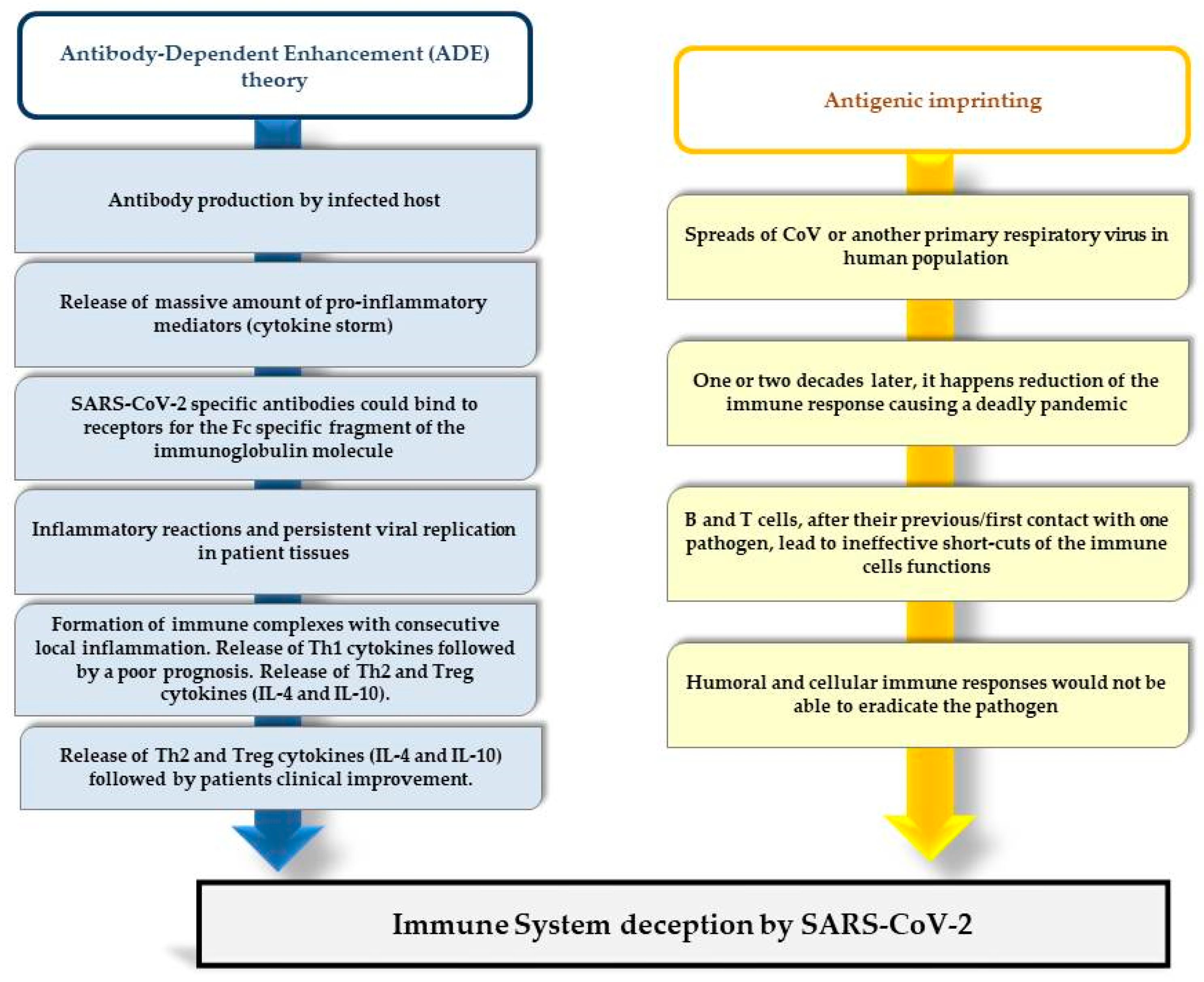 Applsci 11 11605 g001