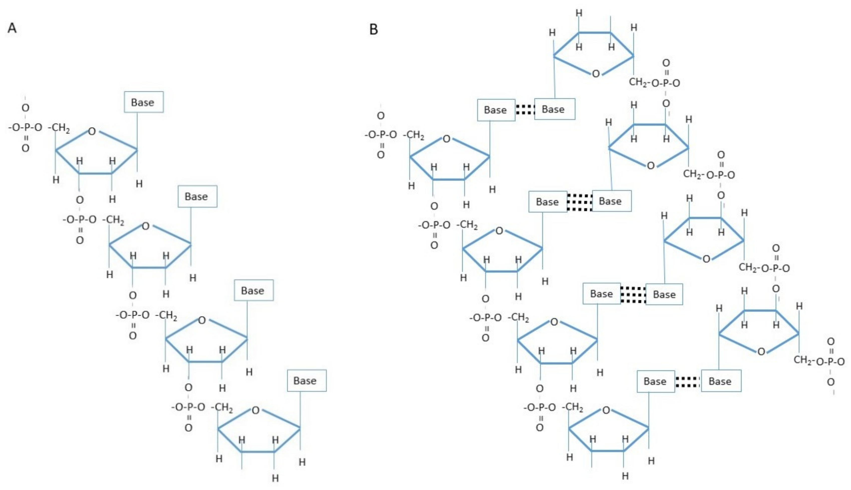 Applsci 11 11621 g003 Applsci 11 11621 g003