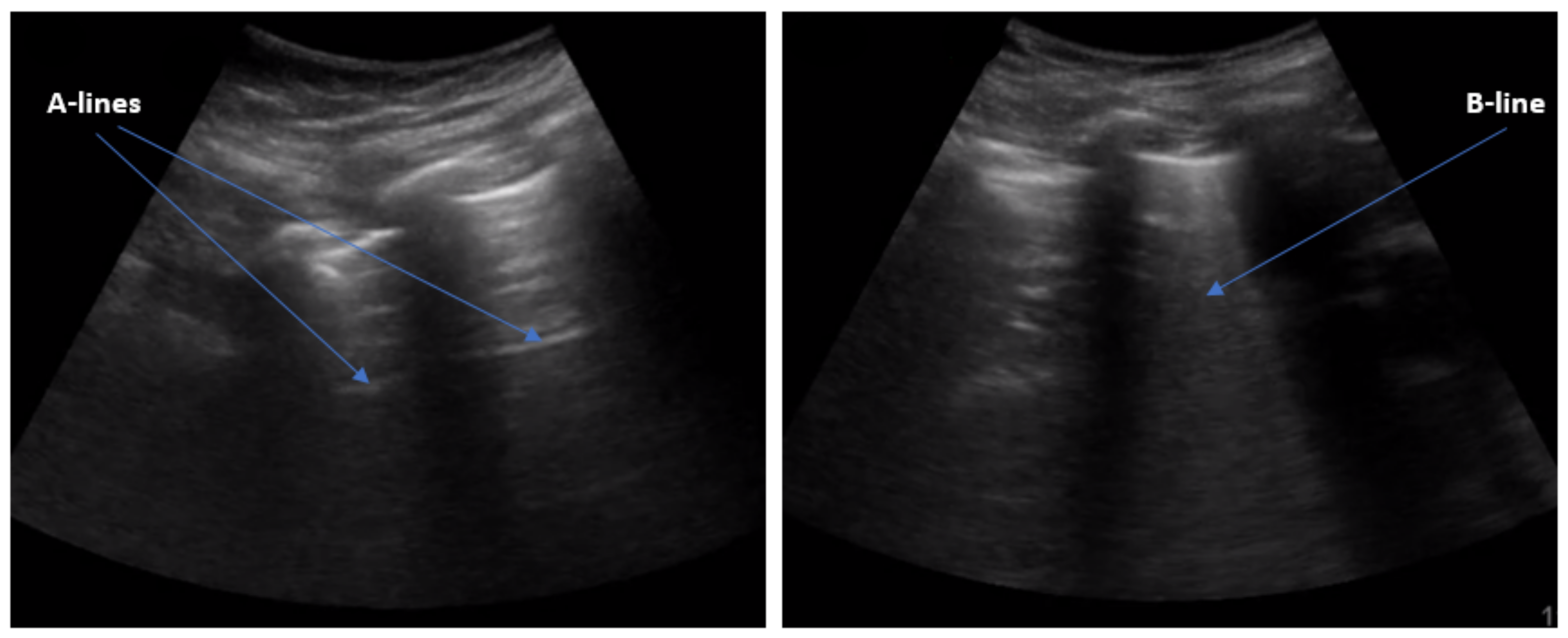 Applsci 11 11697 g001