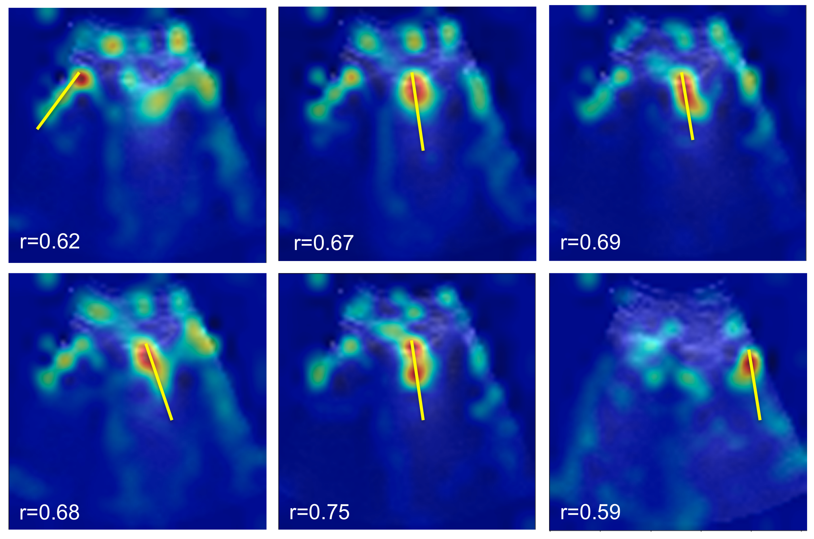 Applsci 11 11697 g006