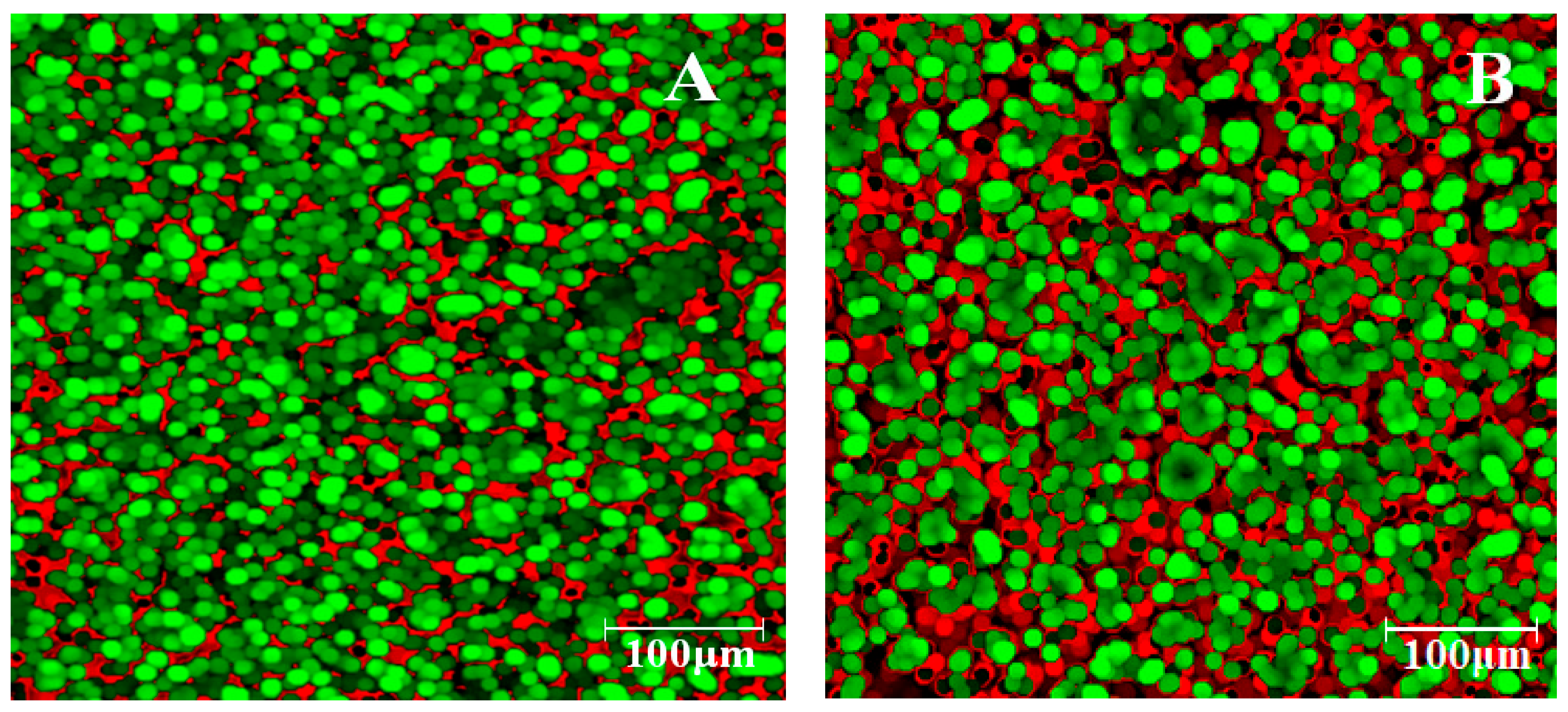 Applsci 11 11706 g007