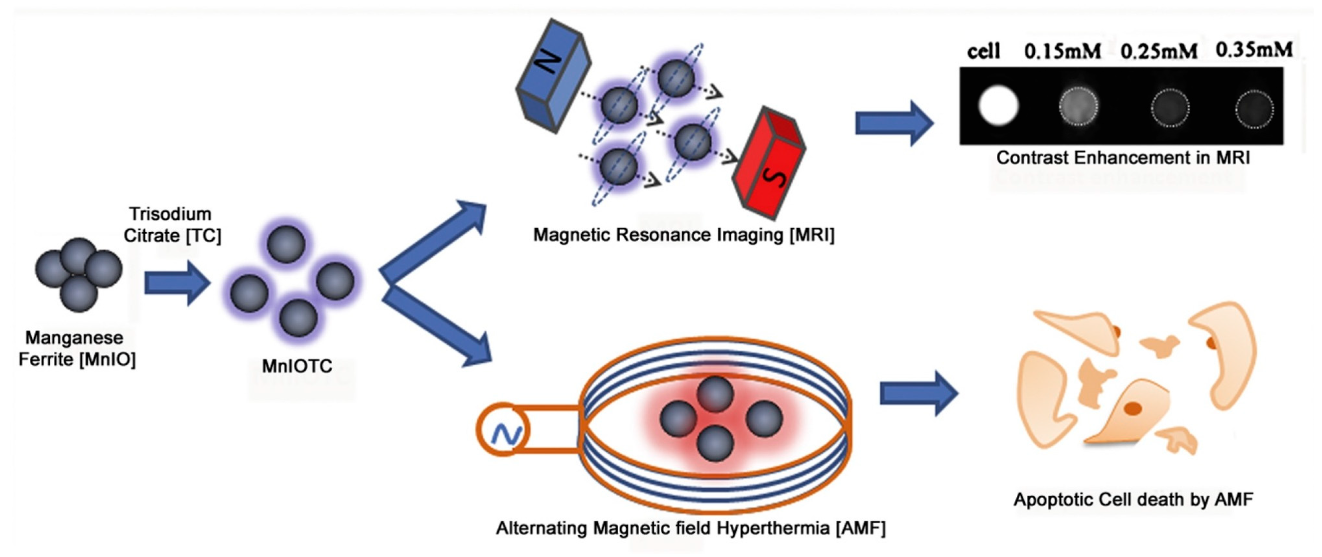 Applsci 11 11713 g003