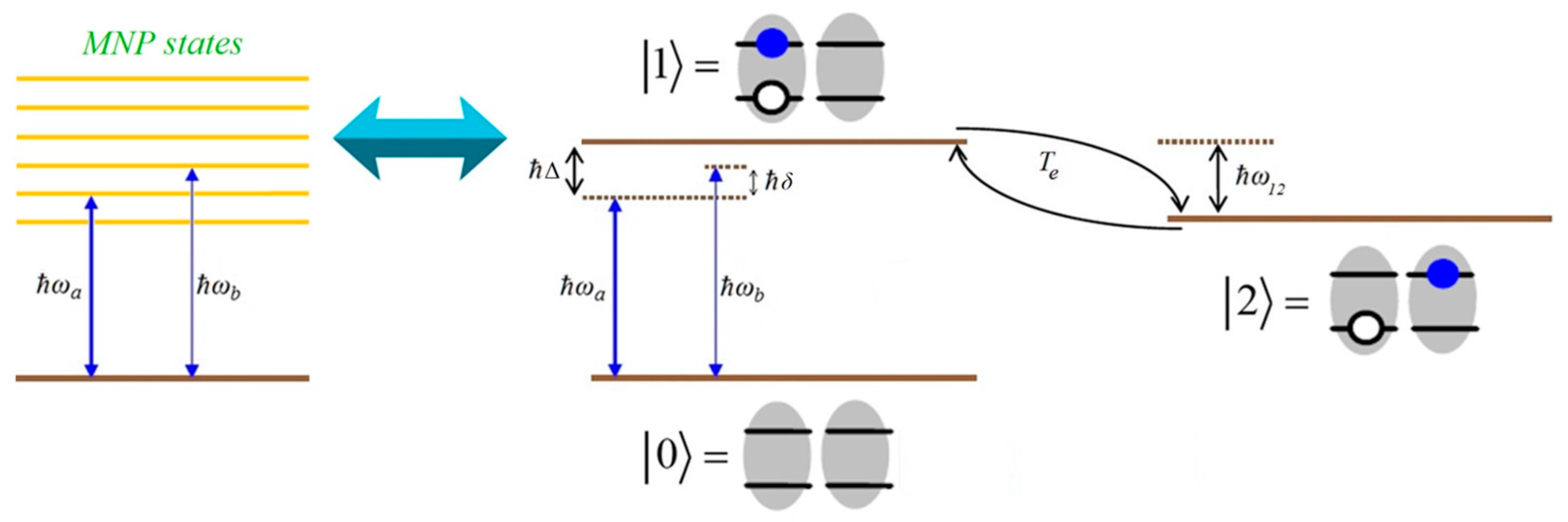 Applsci 11 11714 g002