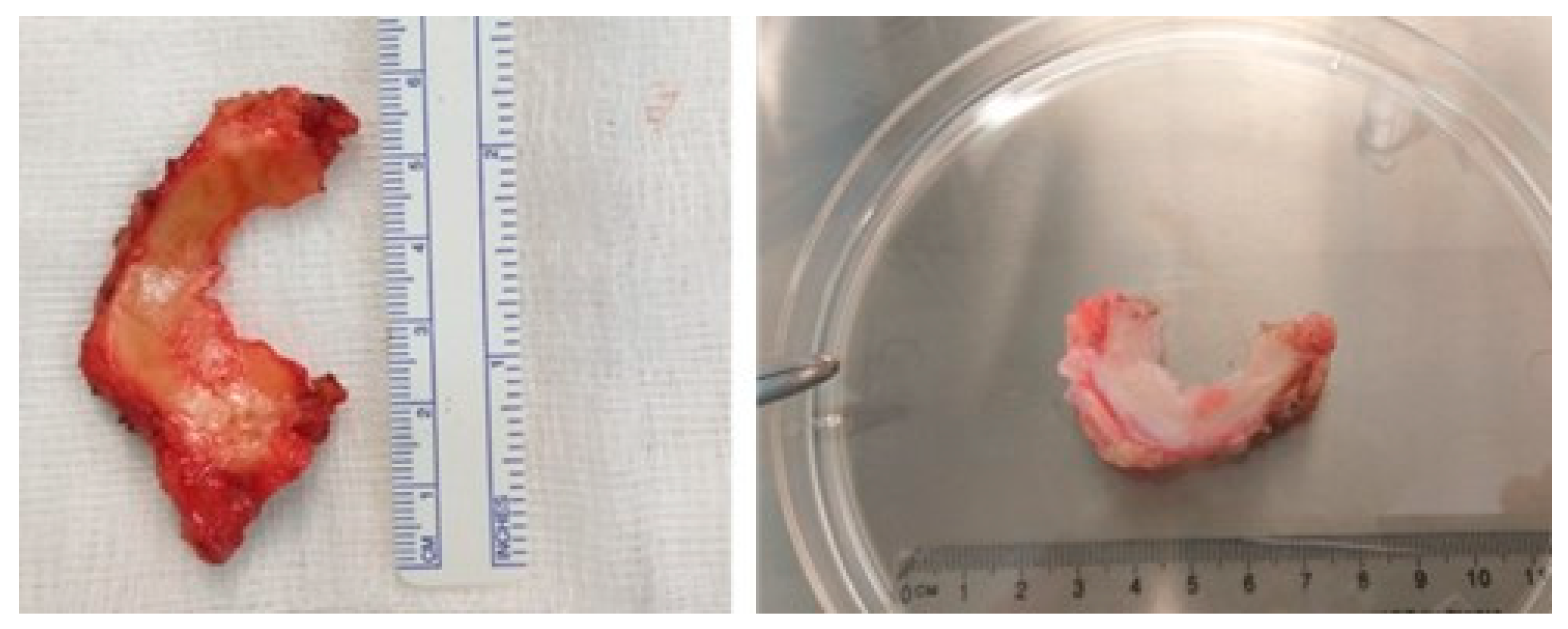 Applsci 11 11733 g001