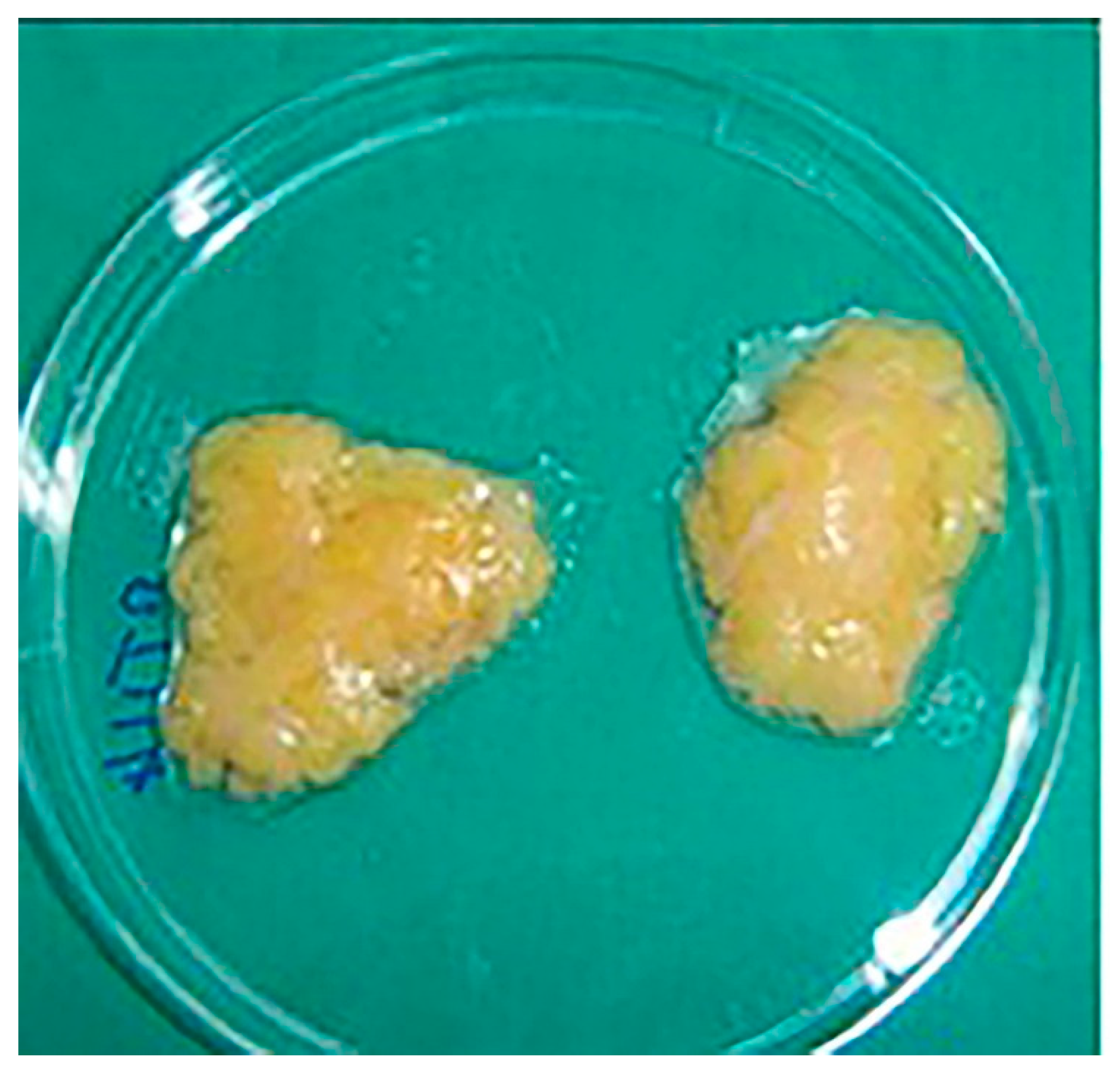 Applsci 11 11733 g003