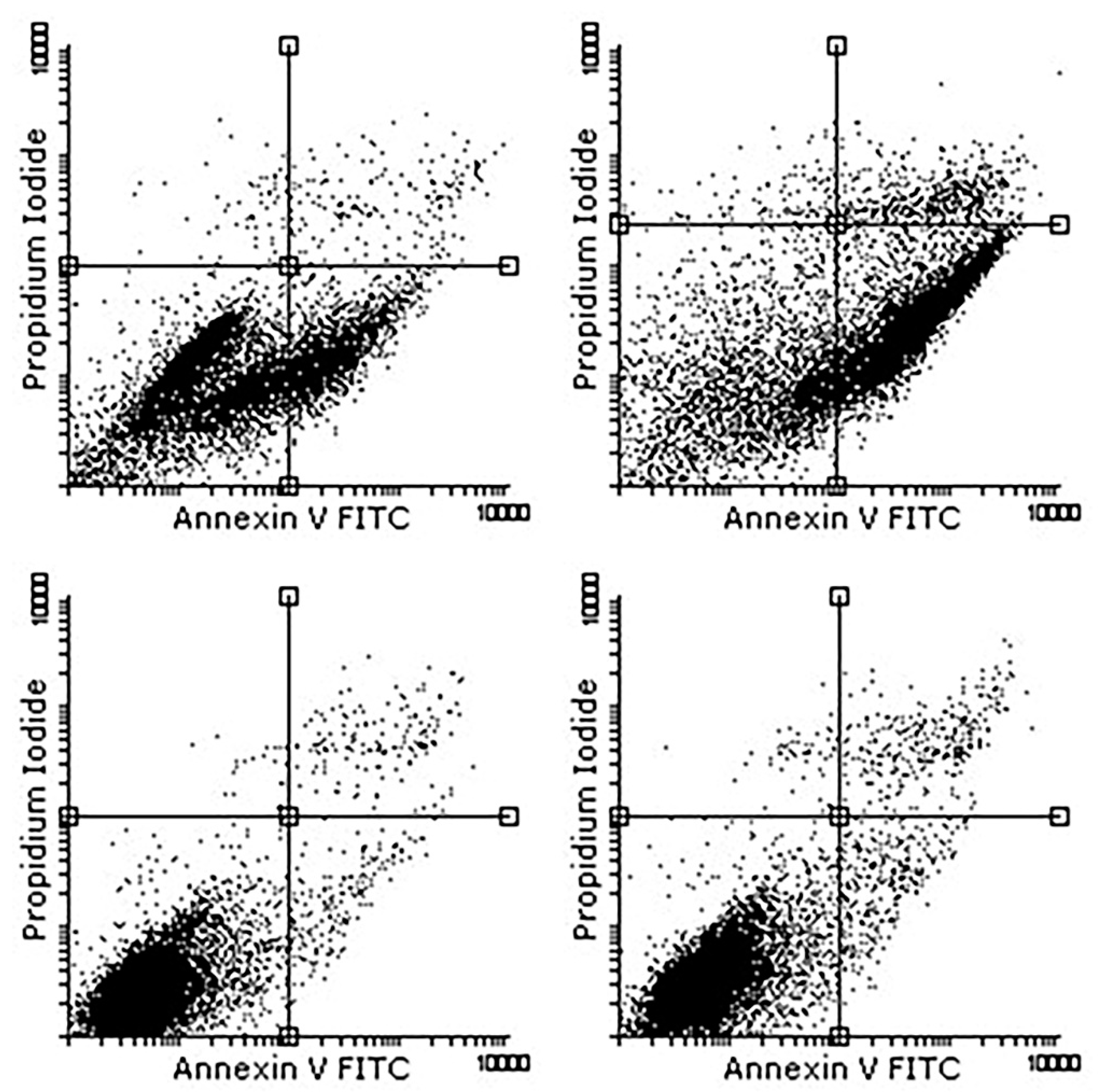 Applsci 11 11733 g005