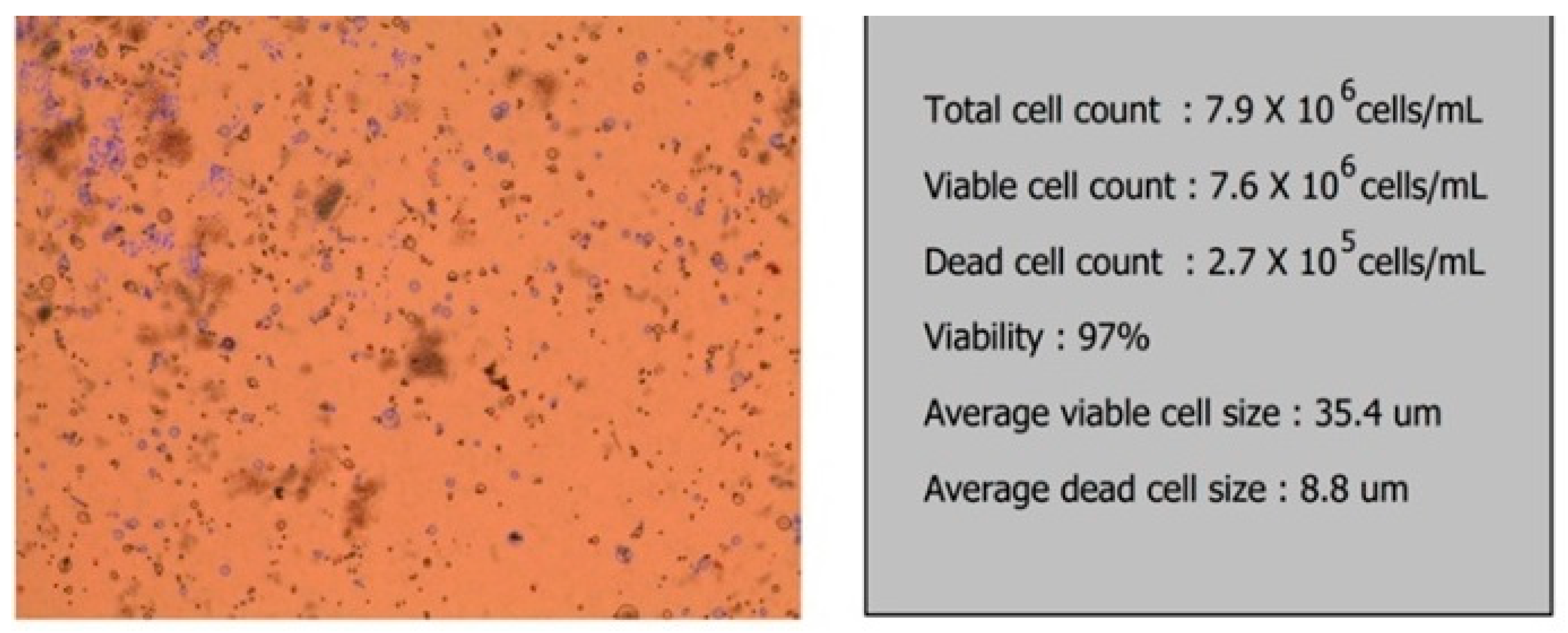 Applsci 11 11733 g006