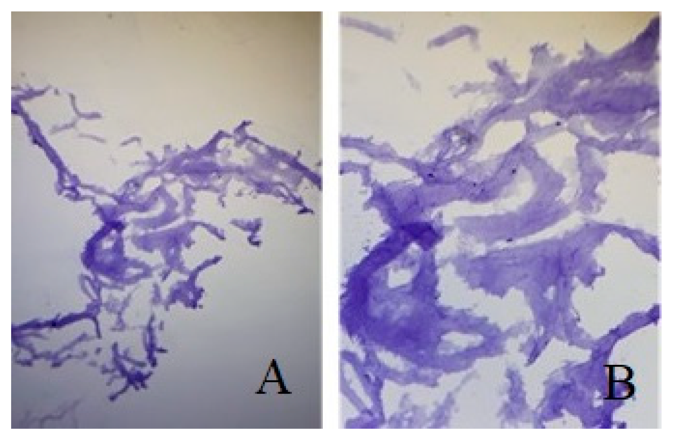 Applsci 11 11733 g008